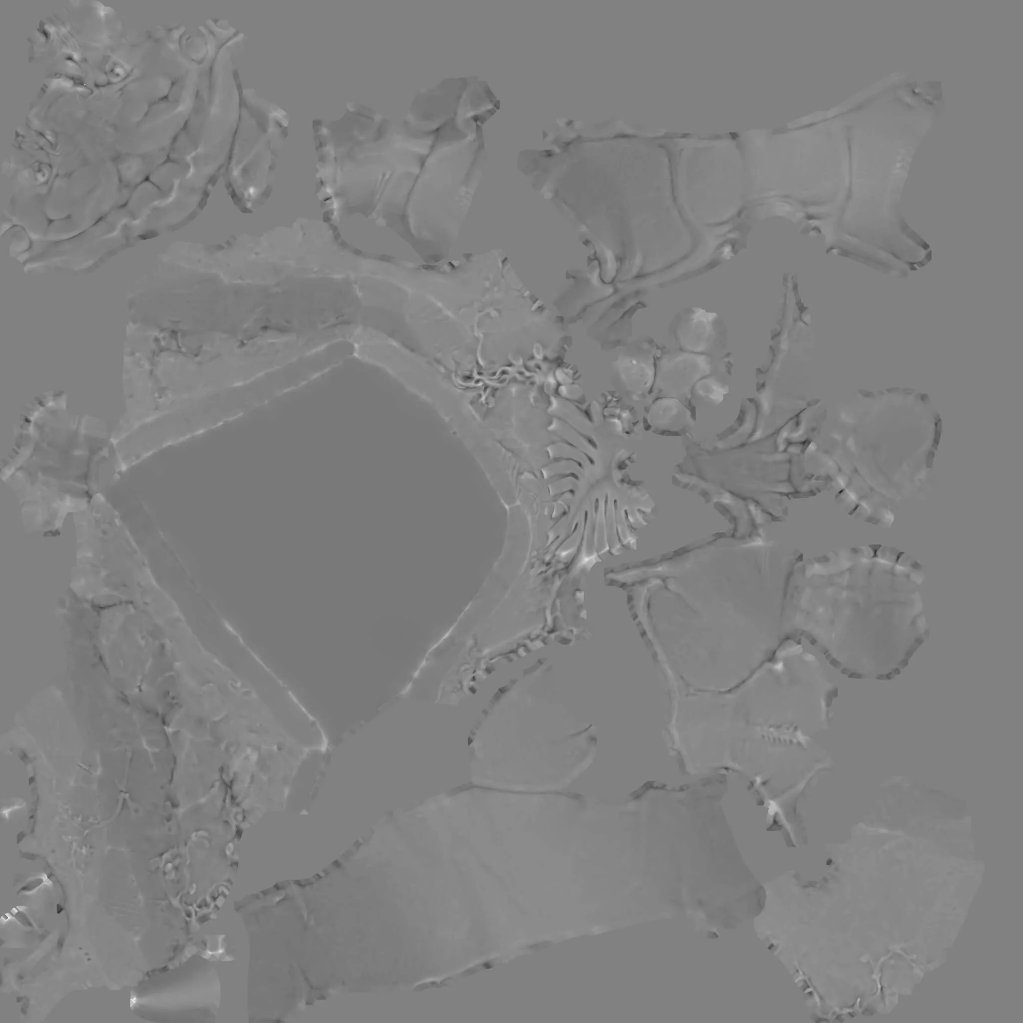 Tex_Height.jpg (Copy)