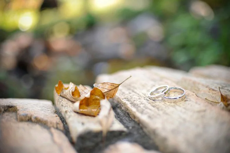 Ring2.jpg