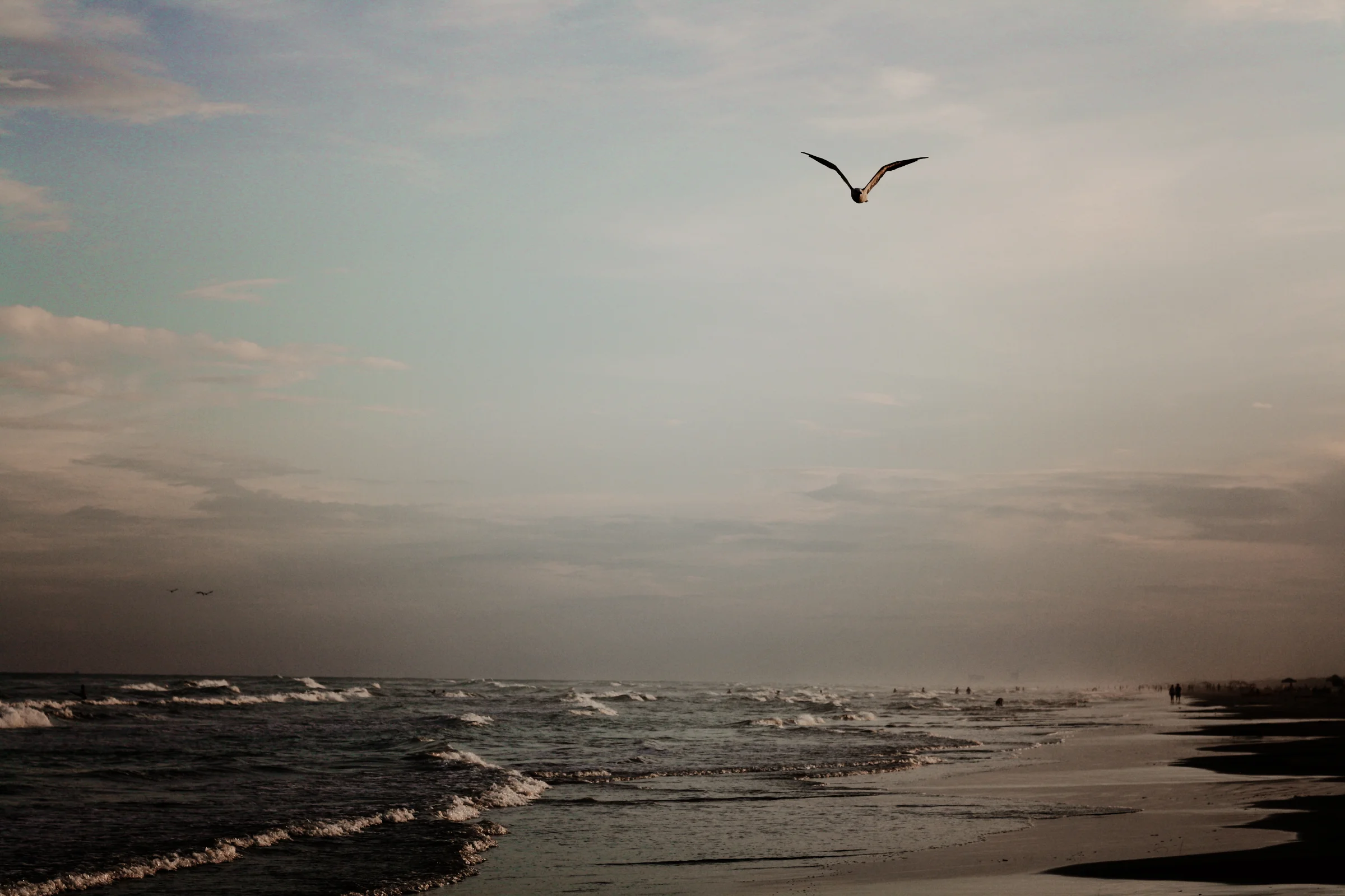 IMG_6817_large.jpg