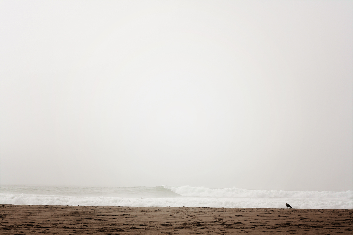 Ocean Beach