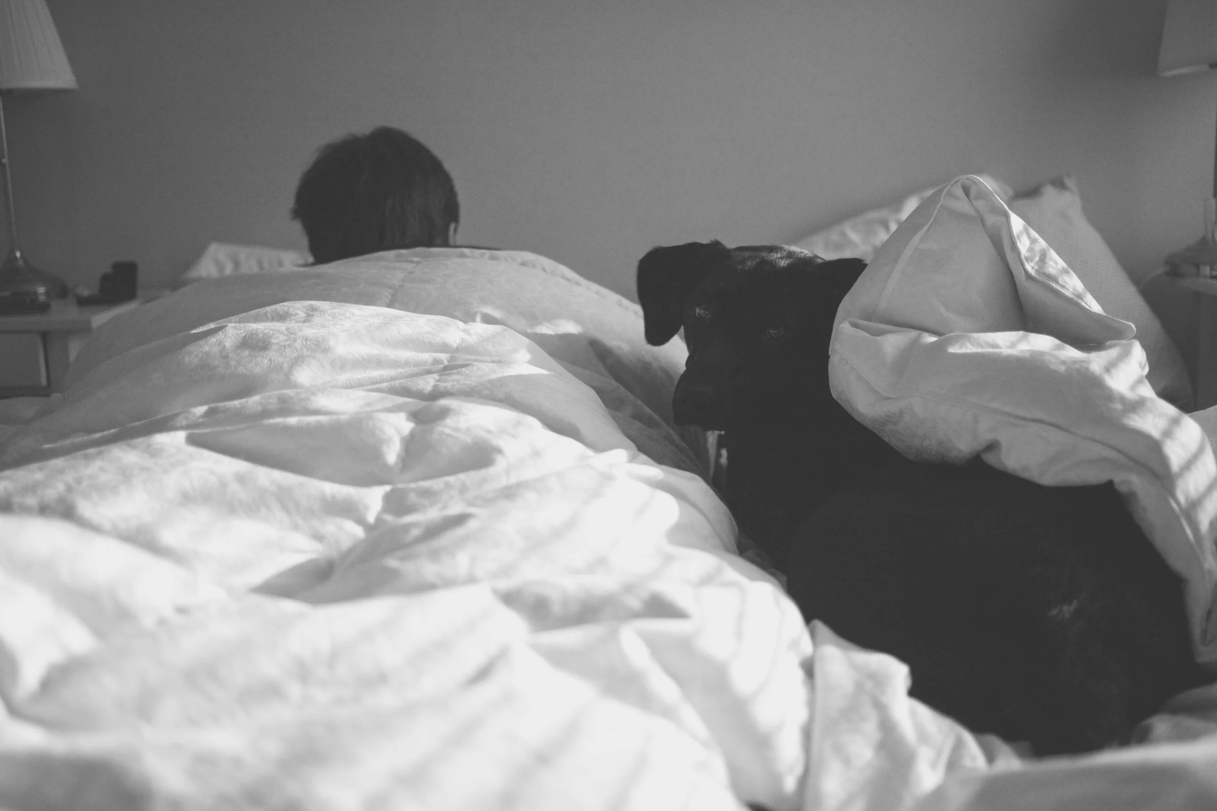 anniebed copy.jpg