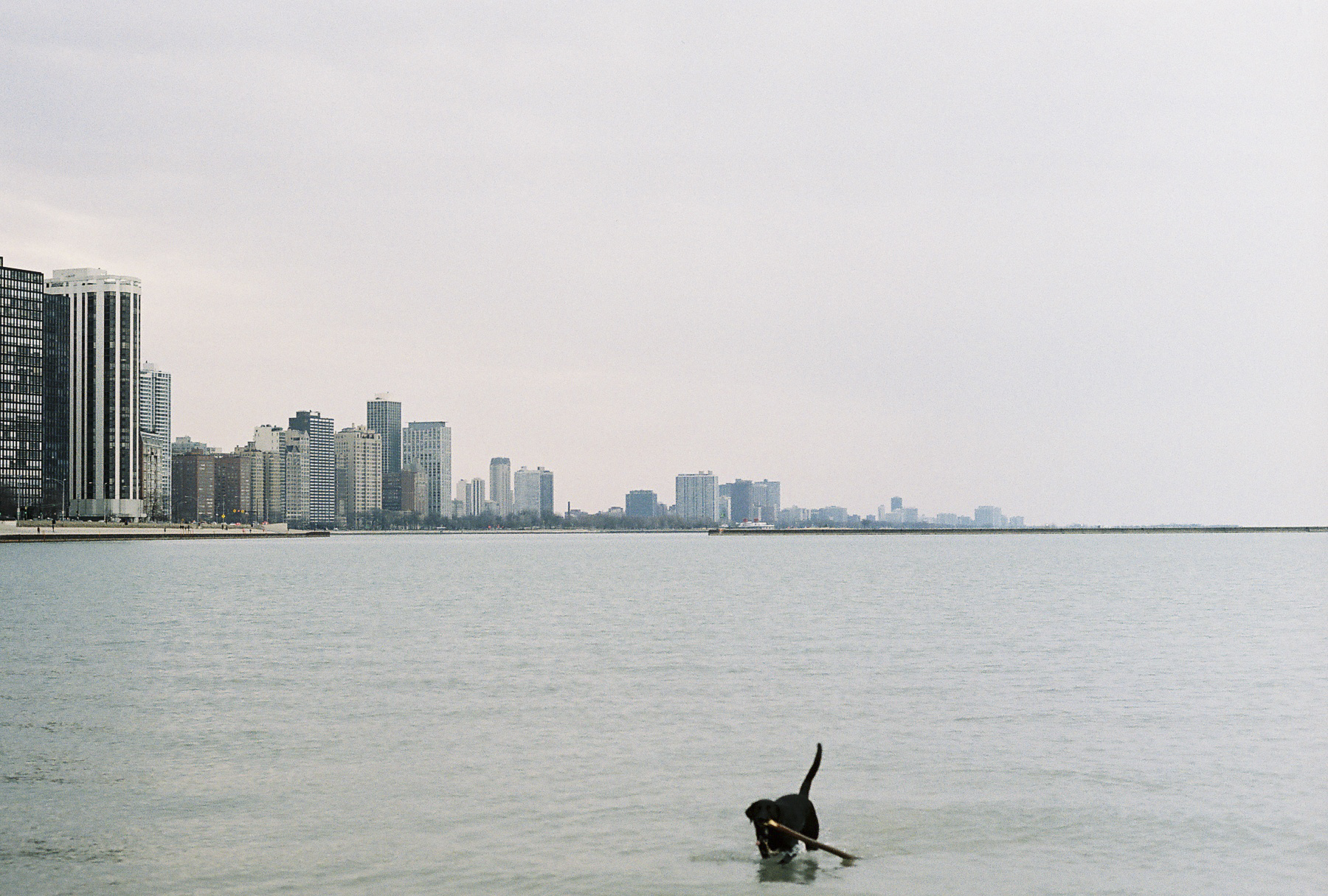 B&BChicago_14.jpg