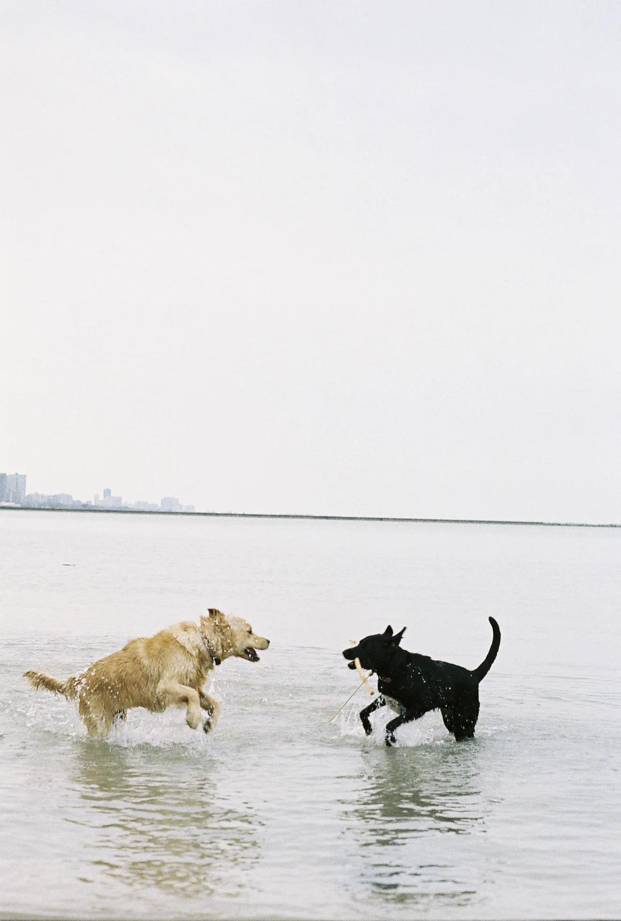 B&BChicago_26.jpg