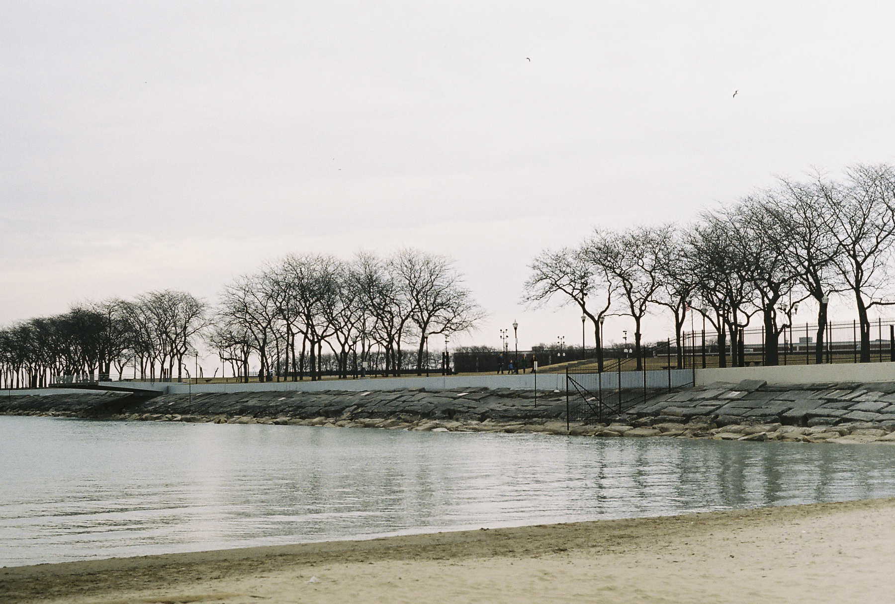 B&BChicago_20.jpg