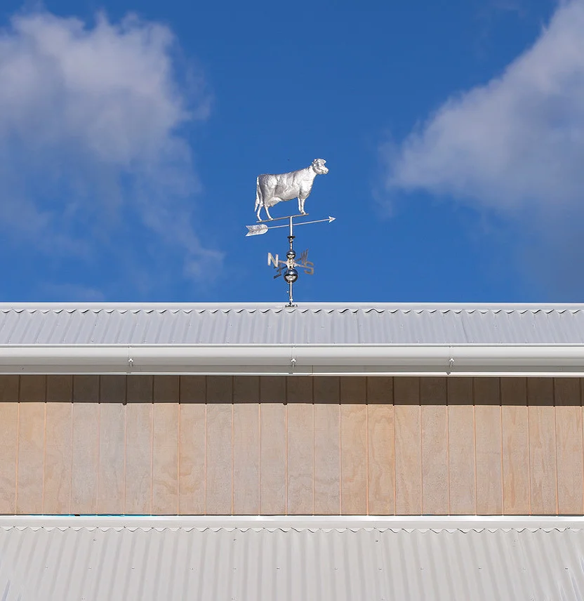 H14-CBC-Weathervane-2.jpg