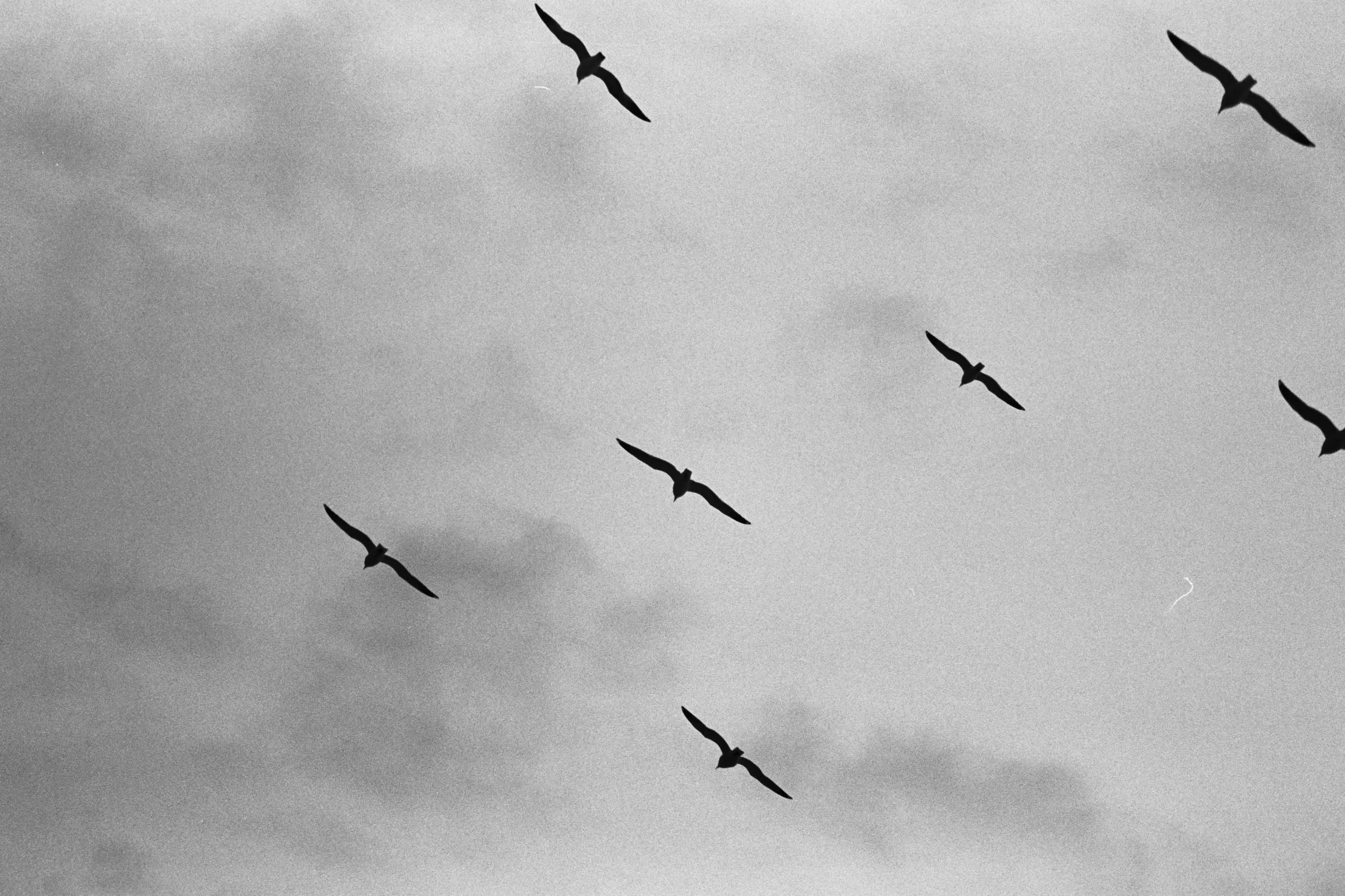 BWTX-021.jpg