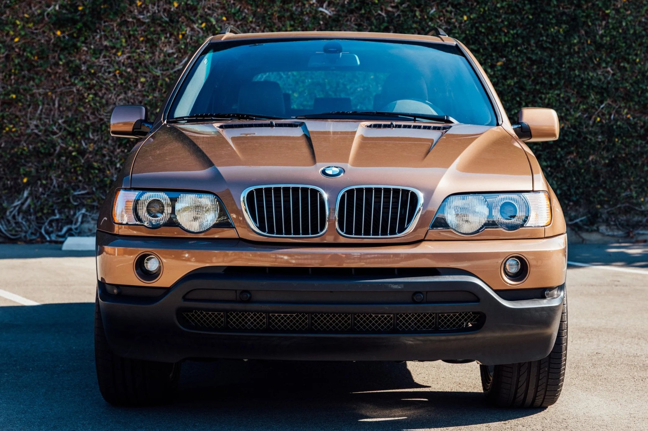 BMW+DW-1030206.jpg