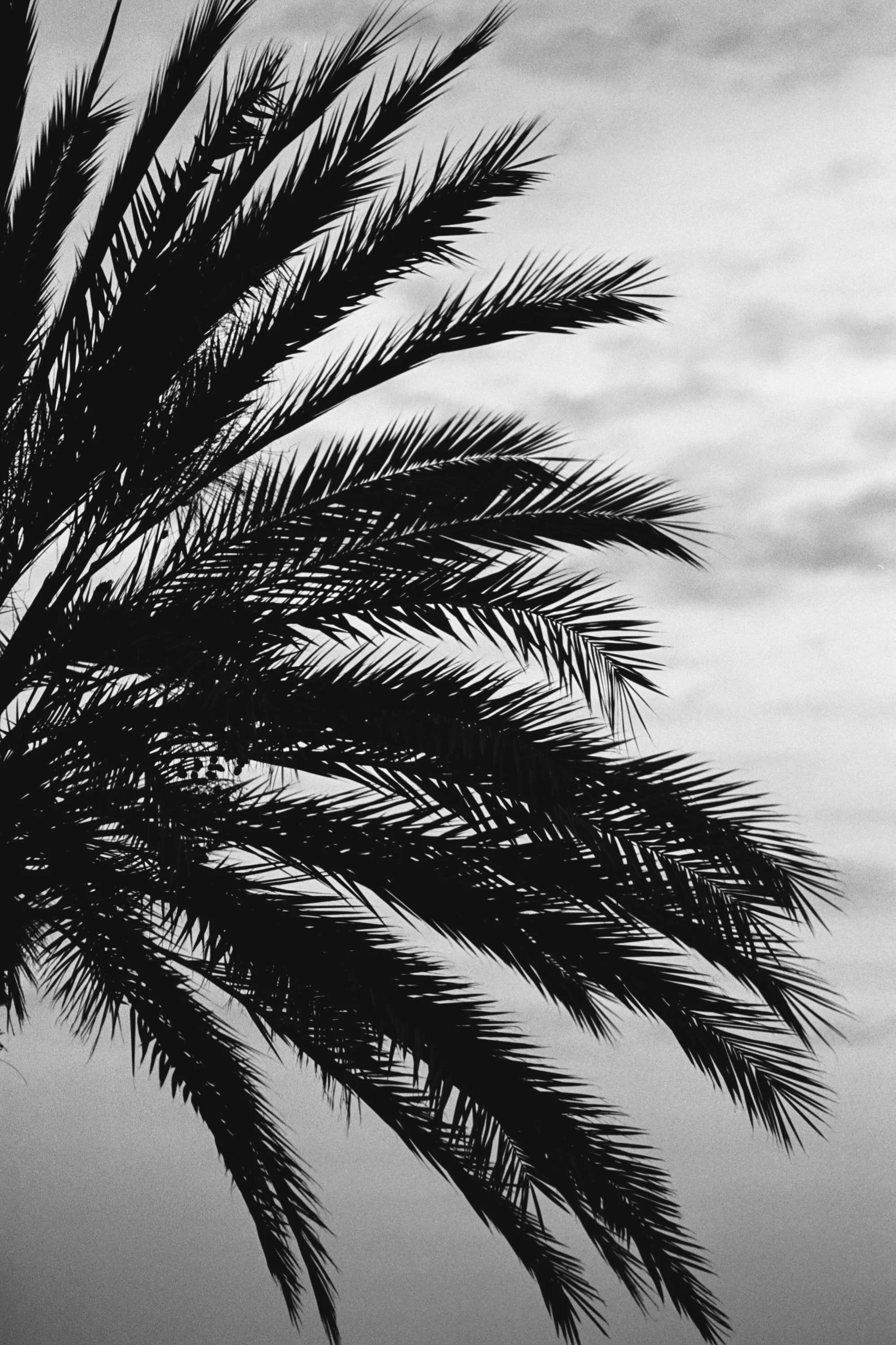 BWTX-029.jpg