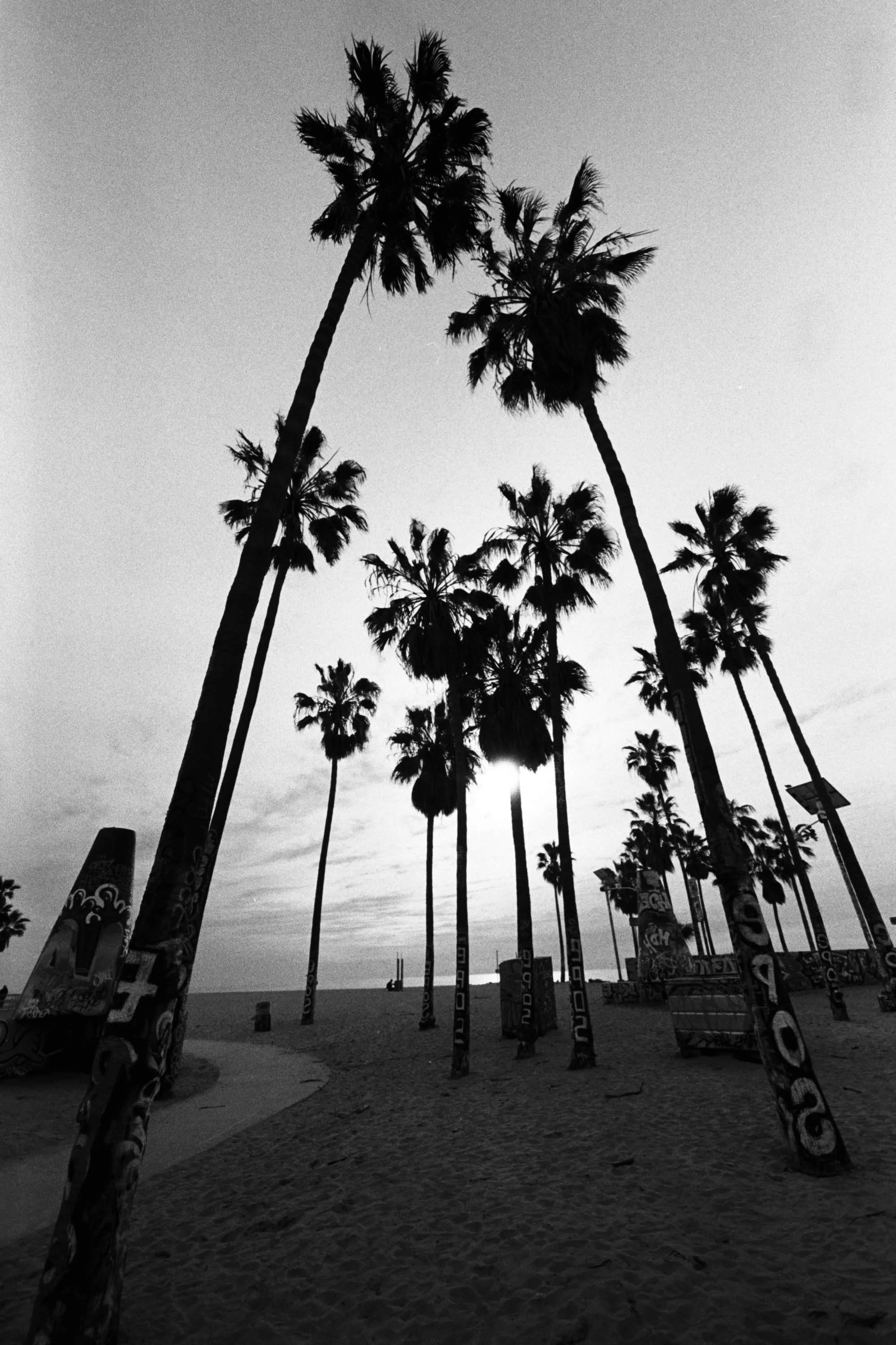 BWTX-017.jpg