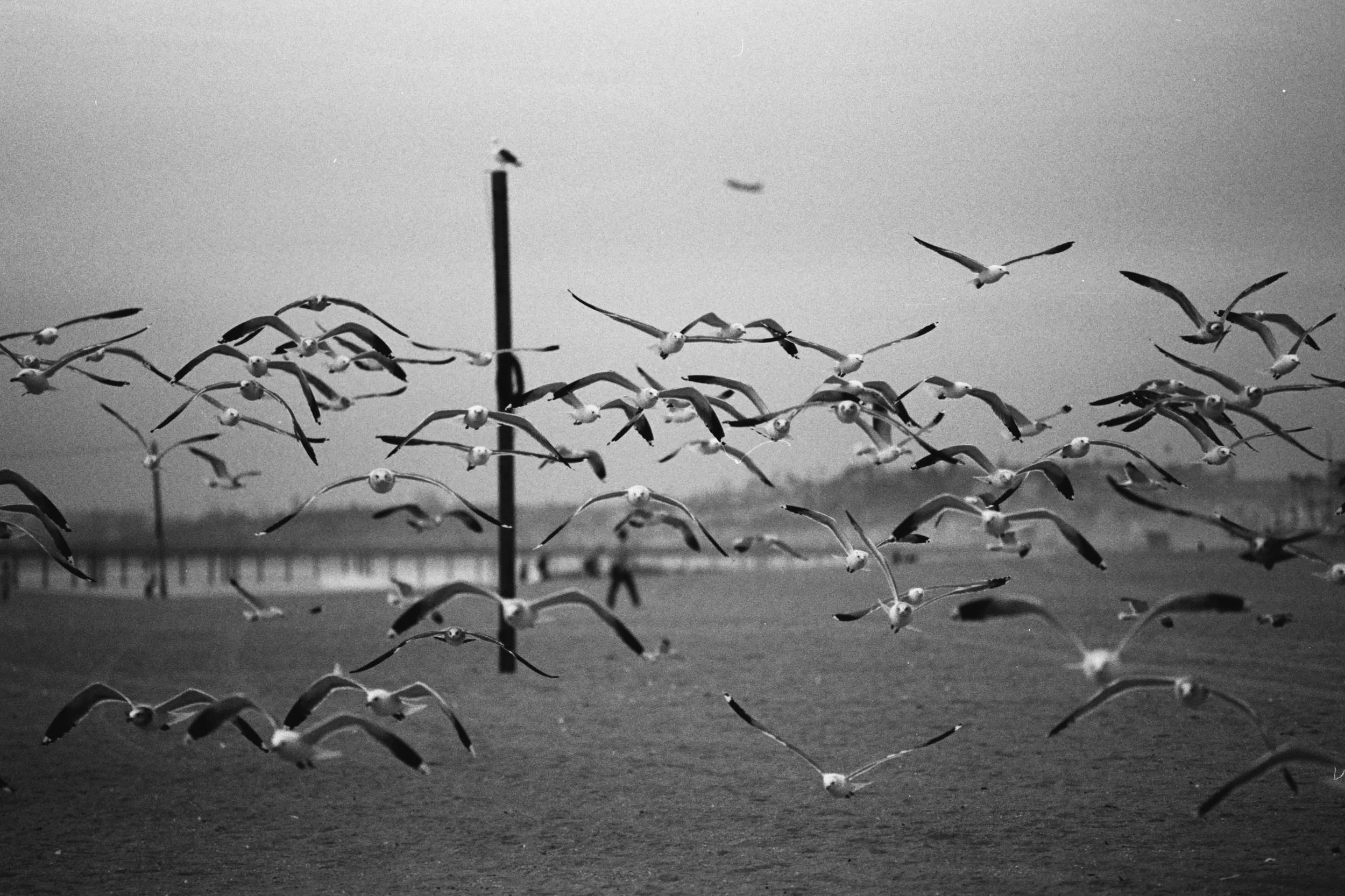 BWTX-001.jpg