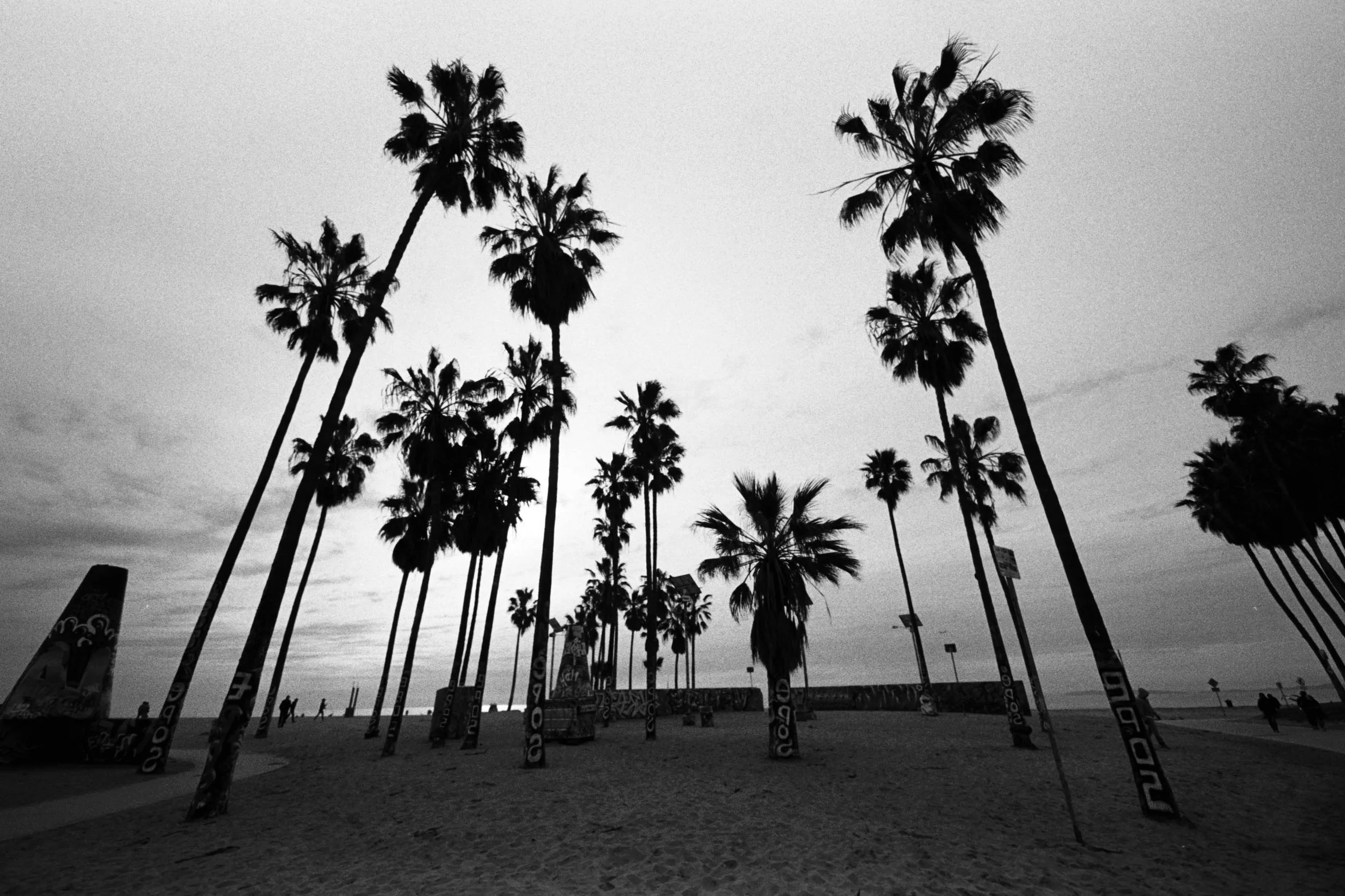 BWTX-016-3.jpg