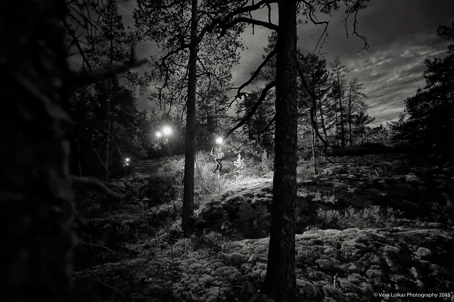 LIMITED EDITION prints available