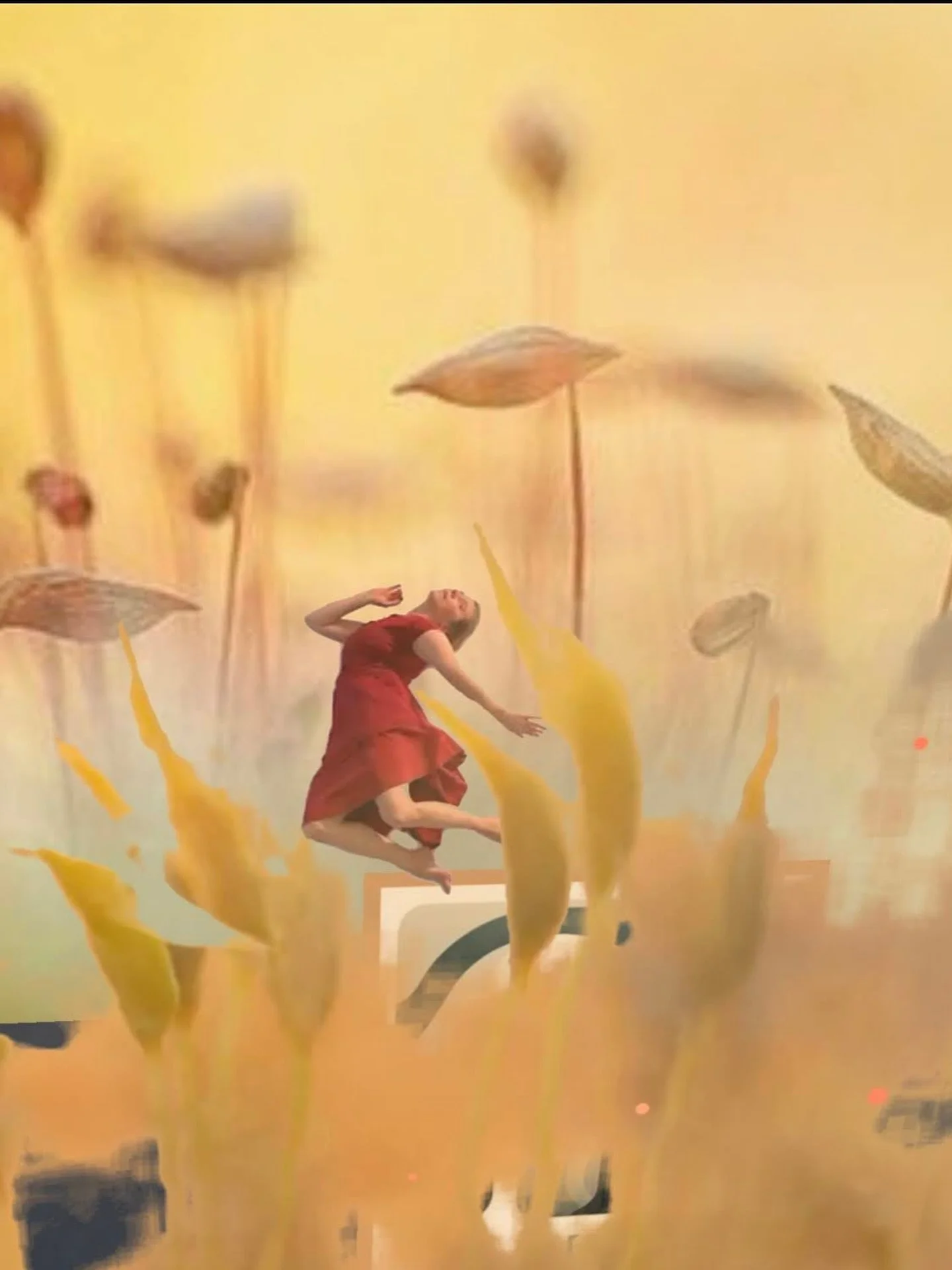 Koreografi Maria Nurmelan ja valokuvaaja/elokuvantekijä Vesa Loikaksen Metsänhaltijat -teos on jälleen koettavissa Turun Taiteiden yönä!

Turun pääkirjastolla on Turun taiteiden yönä mahdollisuus päästä astumaan Metsänhaltijat-taidekokem