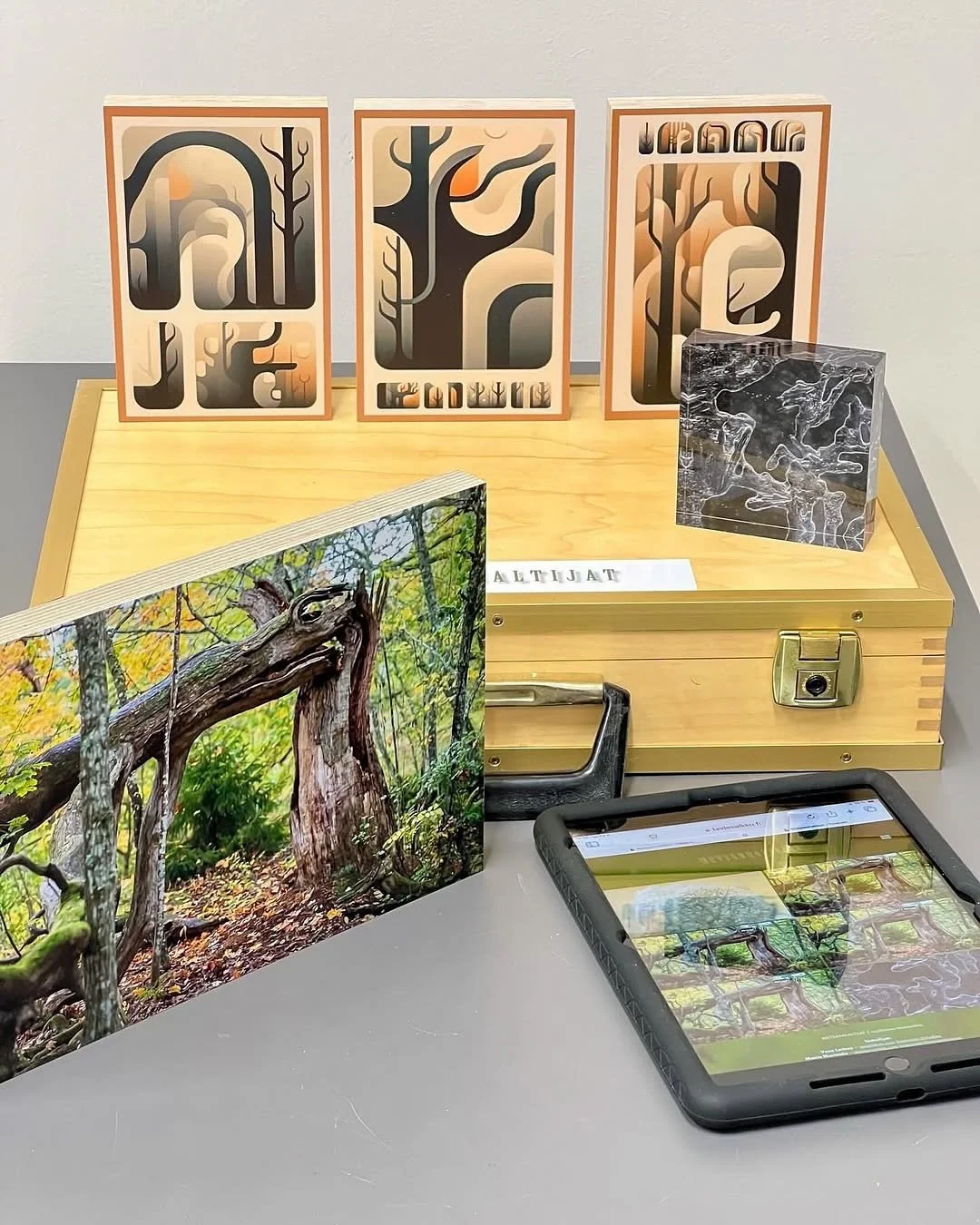 &bull;
Repost @lantinentanssinaluekeskus lantinentanssinaluekeskus 📣 Esittelemme maalis-huhtikuussa alueemme freelancertaiteilijoiden työtä

Koreografi ja tanssija Maria Nurmelan @mariaelenanur sekä valokuvaaja ja elokuvantekijä Vesa Loikaksen @