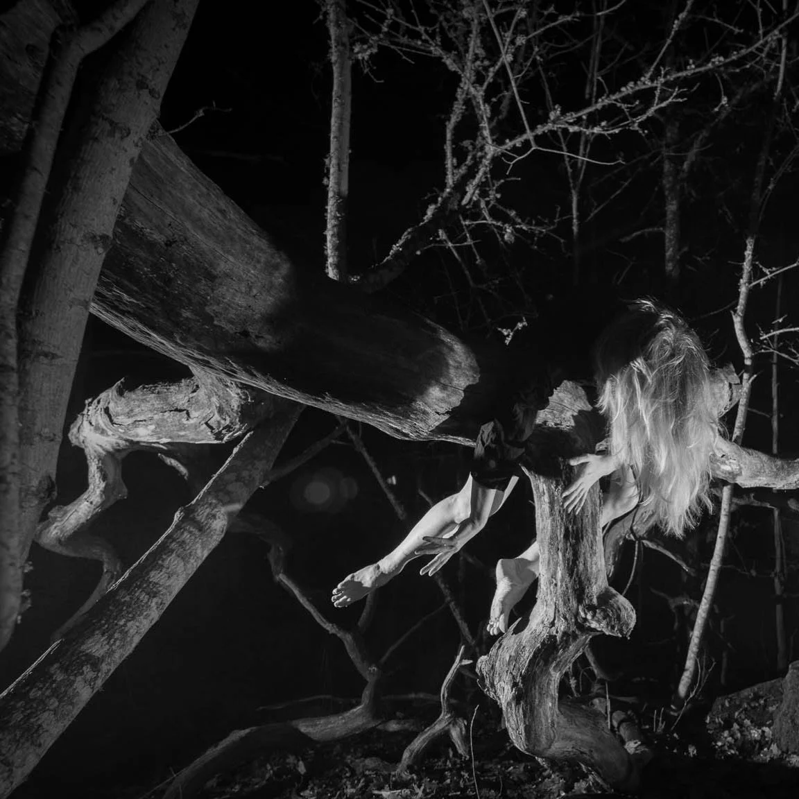 ENTANGLEMENT STUDIES /  performer @mariaelenanur / &rdquo;Entanglement&rdquo; is an interdisciplinary artistic project of the intricate connections between an oak forest, its trees, vegetation, animals and human beings. Vaarniemi #kaarina Finland.