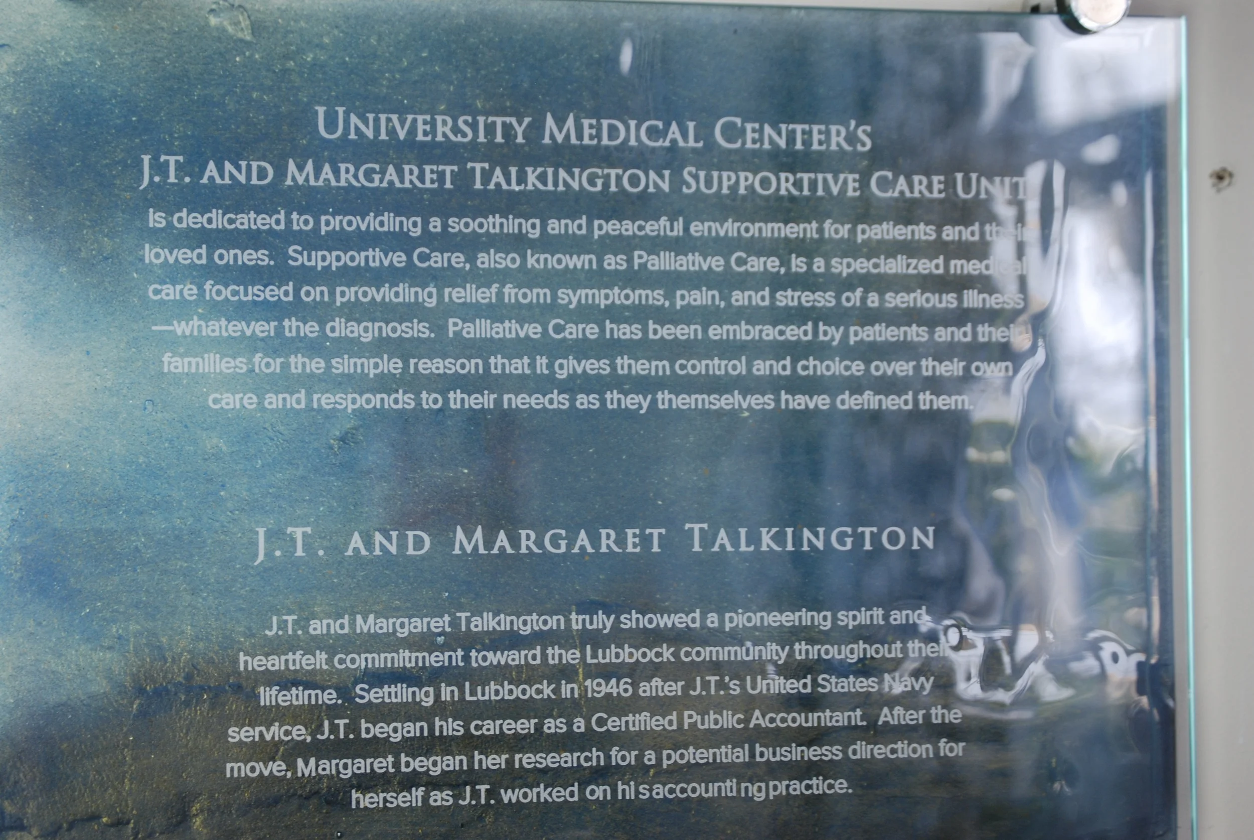 University Medical Center - Donor Recognition Panel - Fused and Hand-Painted Glass (detail).