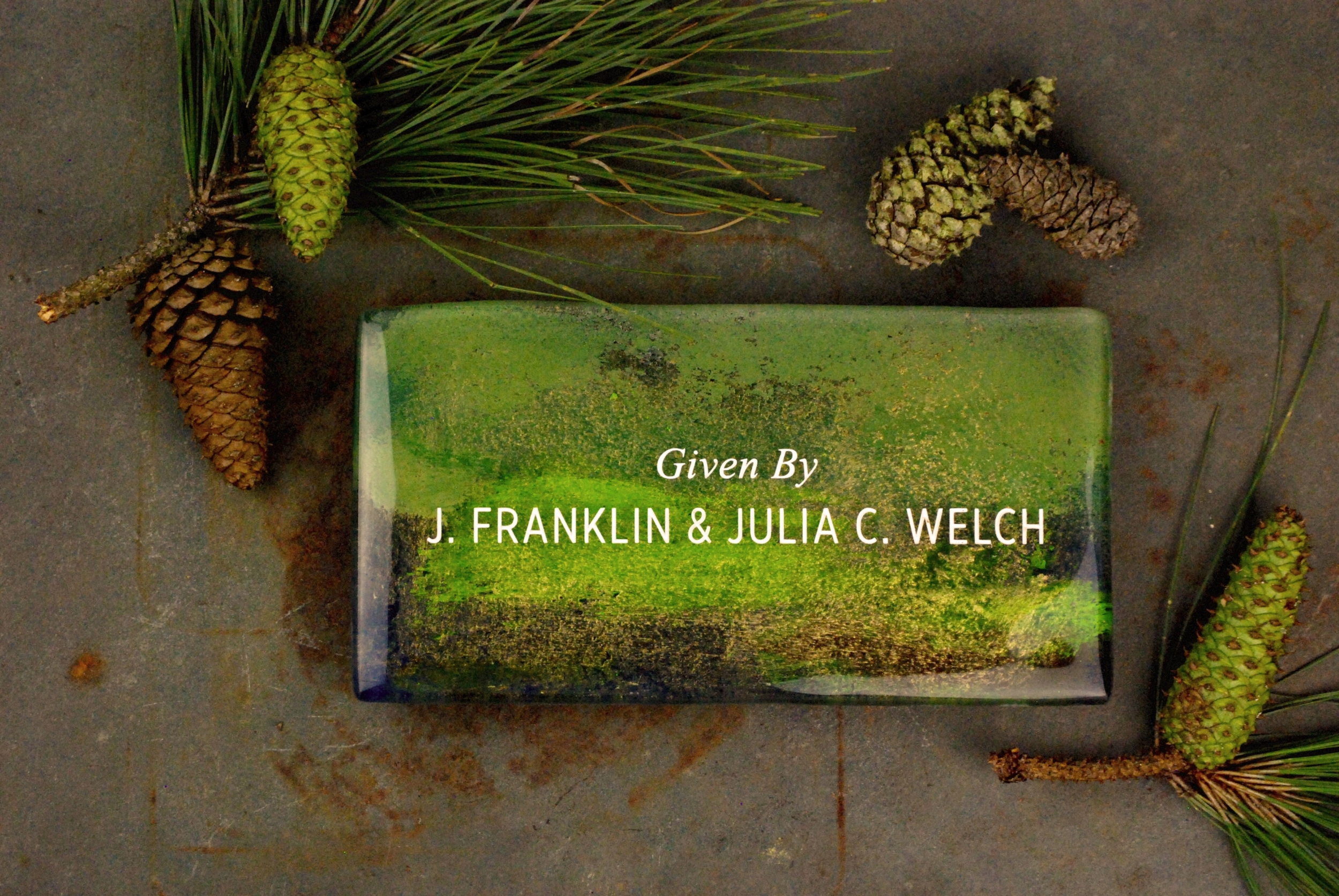 Fused and hand-painted glass plaque in forest color palette.