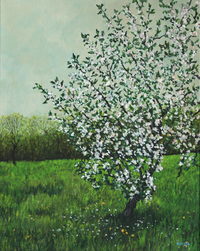 "Apple Blossoms"