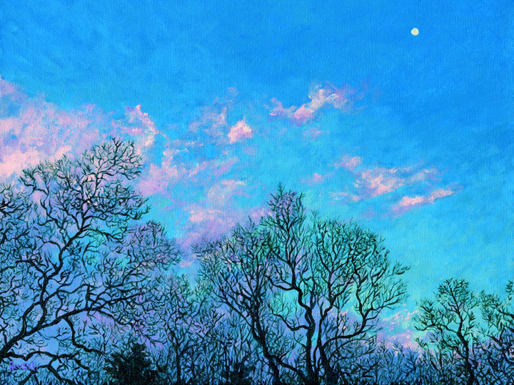 Early Spring Moon