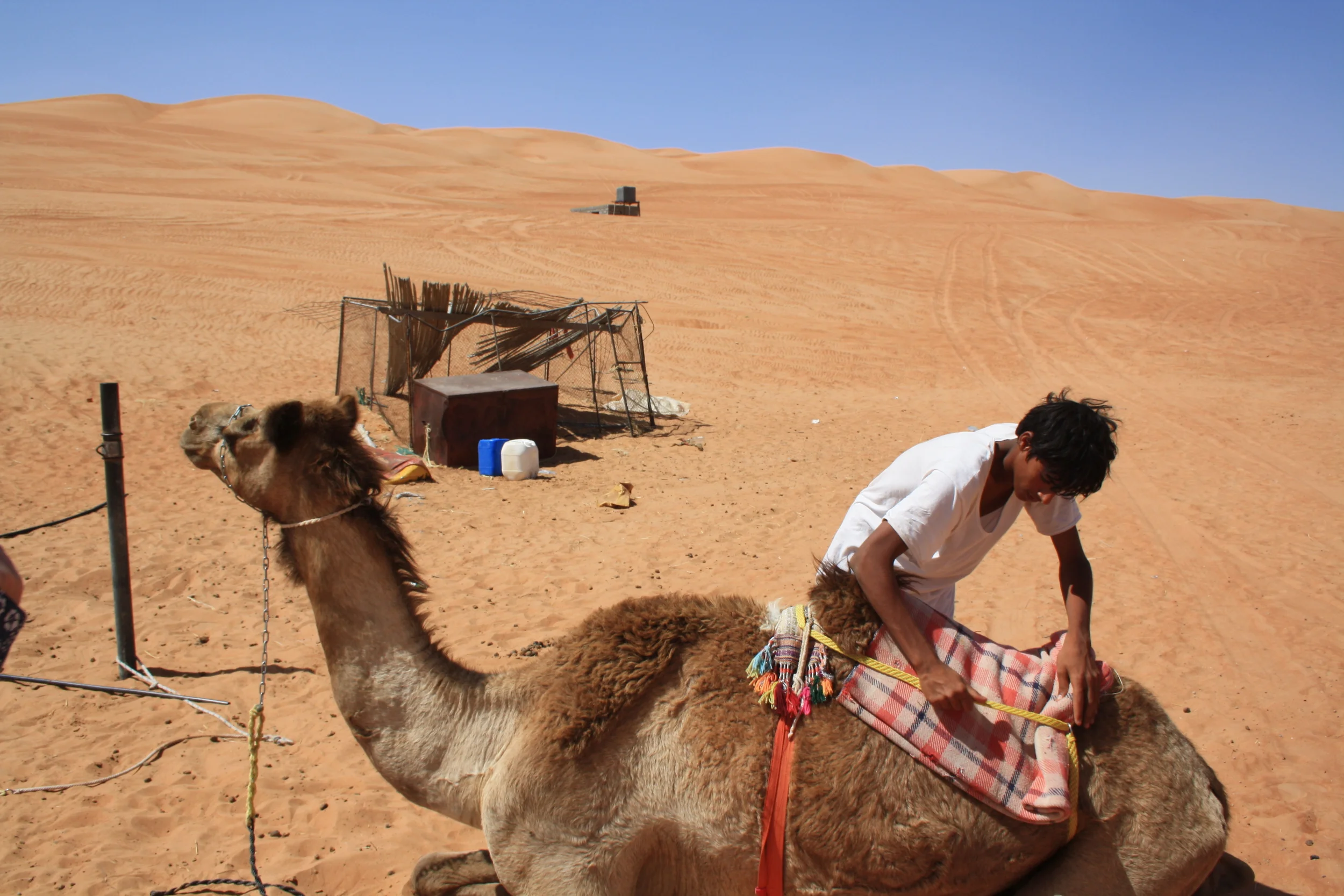 En beduin og hans kamel i Wahiba Sands. Foto: Kjersti S. Macdonald Aursnes