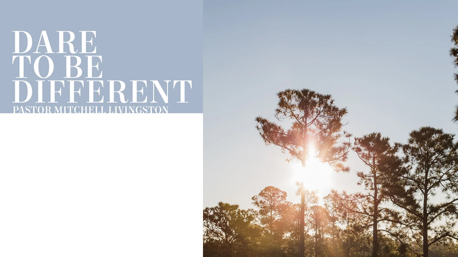Dare to Be Different episode artwork