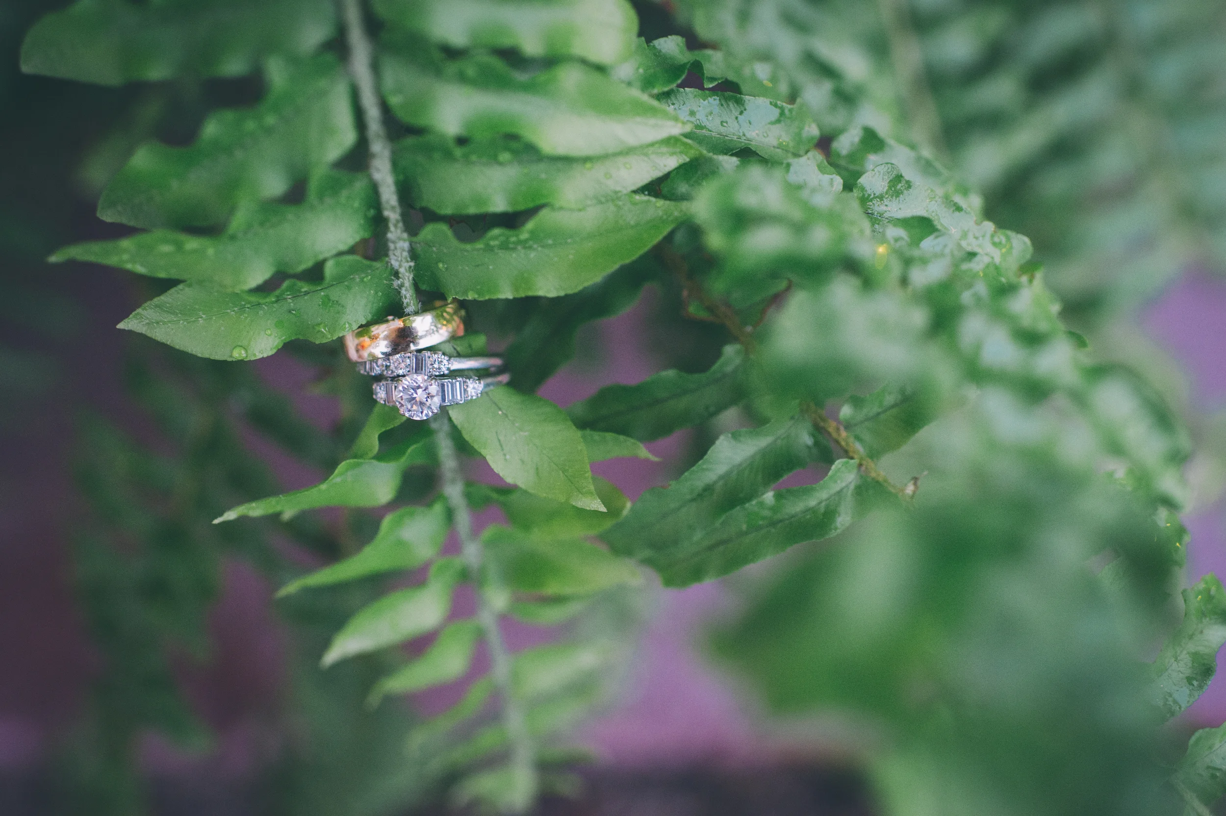 Emma+Joel-391.jpg
