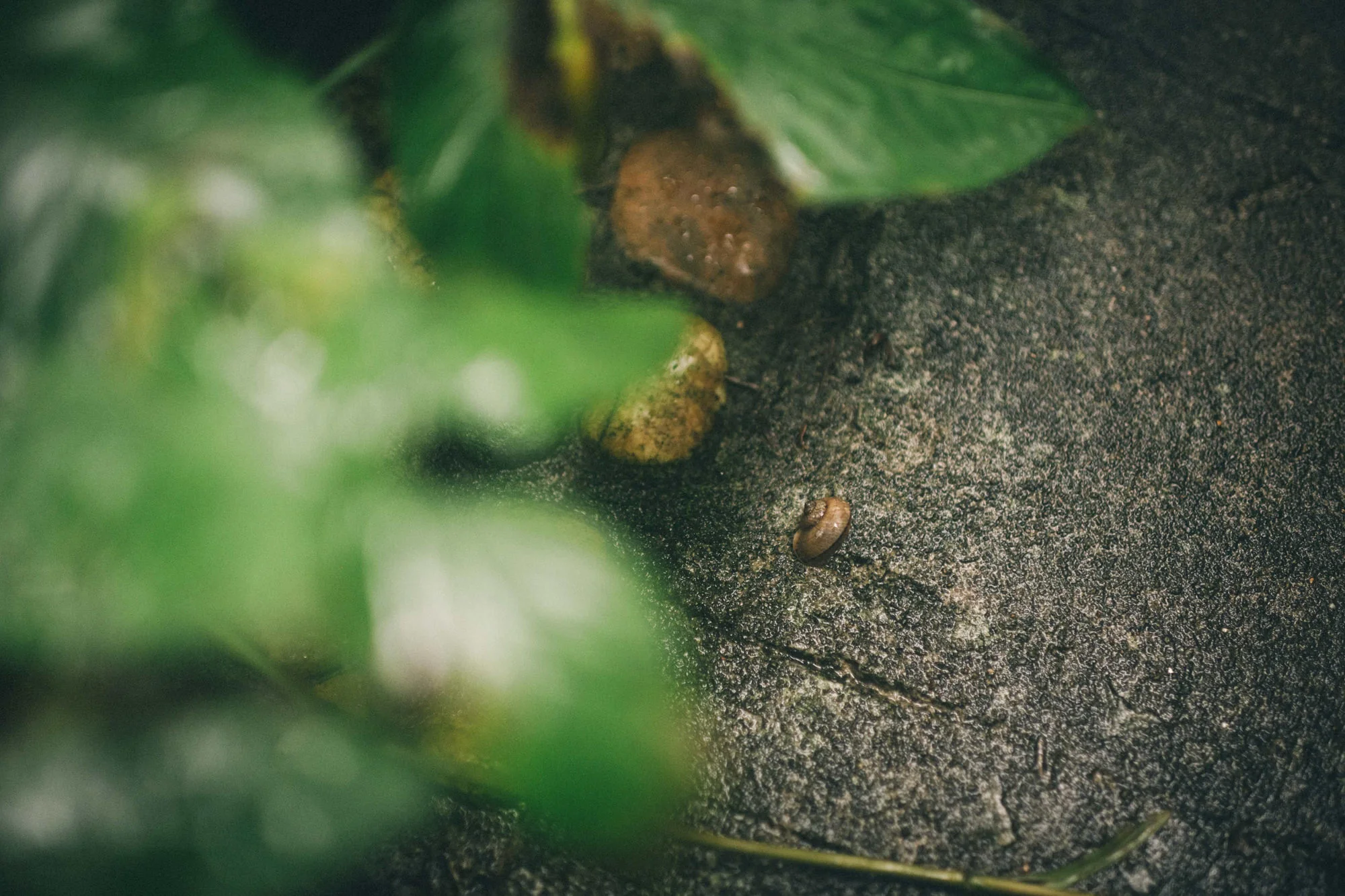 China-Travel-Photos-By-Louisville-Kentucky-Photographer-Sarah-Katherine-Davis-Photography-11.jpg