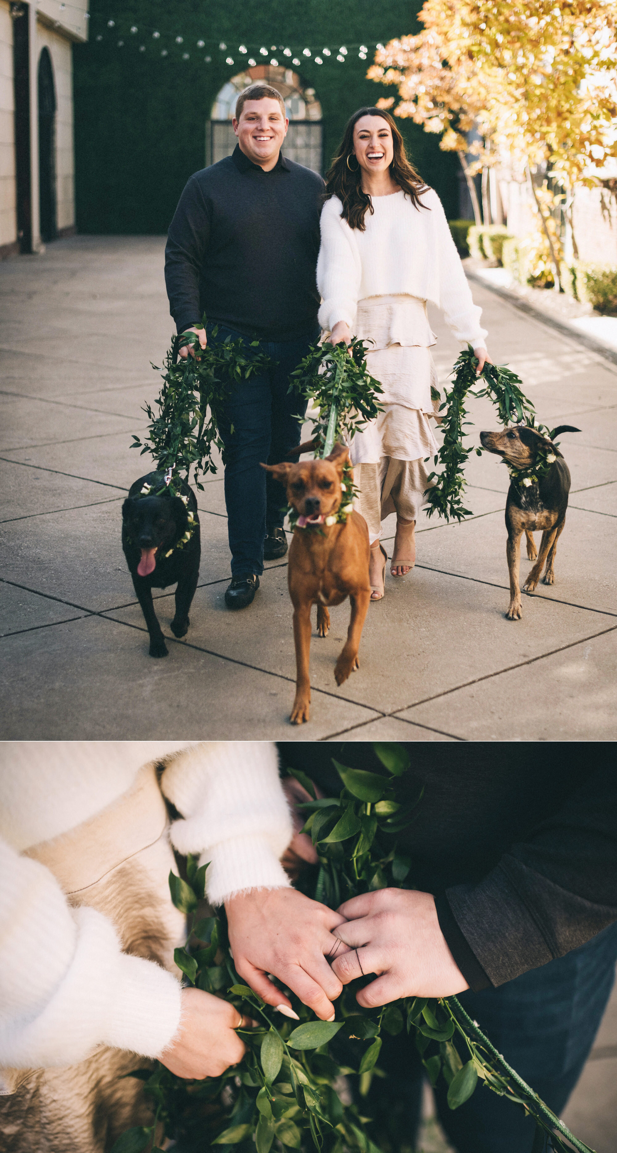 Courthouse-Elopement-Photography-Dogs-Flower-Leash-by-Louisville-Kentucky-Wedding-Photographer-Sarah-Katherine-Davis-2.jpg