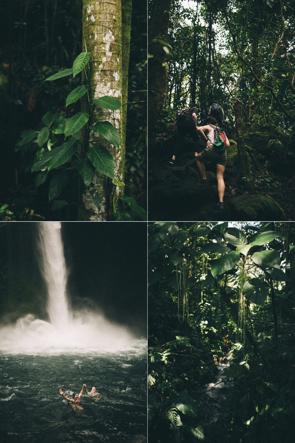 Costa-Rica-Travel-Photography-by-Louisville-Kentucky-Wedding-Photographer-Sarah-Katherine-Davis-Photography-Monteverde-La-Fortuna-Cloud-Forest-Rain-Forest00003.JPG