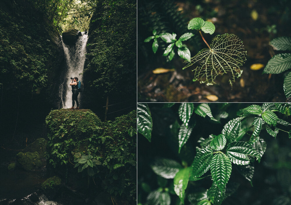 Costa-Rica-Travel-Photography-by-Louisville-Kentucky-Wedding-Photographer-Sarah-Katherine-Davis-Photography-Monteverde-La-Fortuna-Cloud-Forest-Rain-Forest00007.JPG