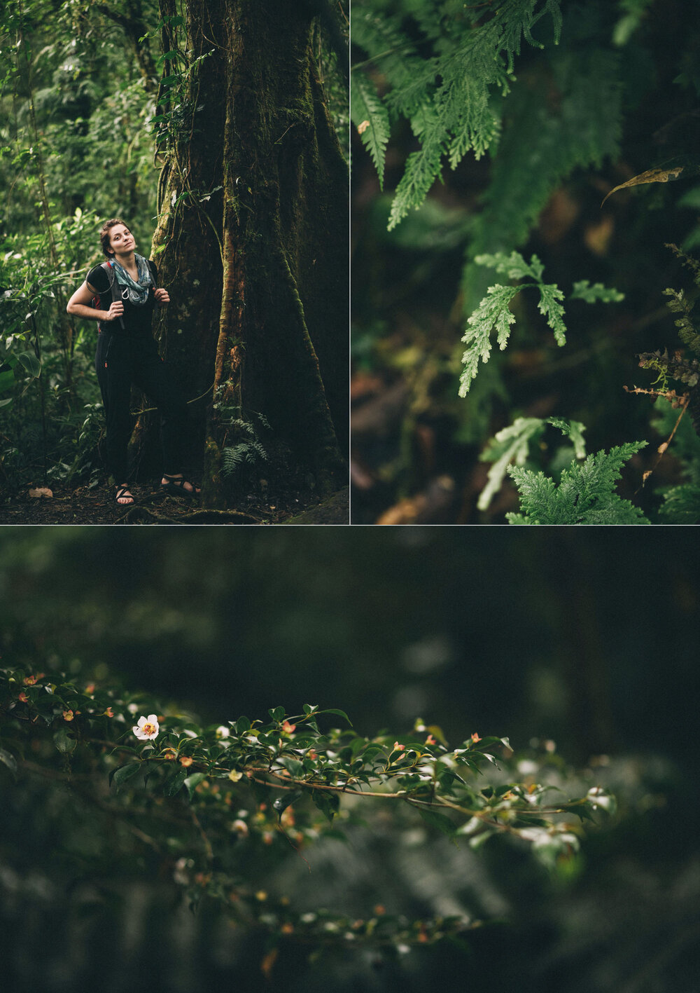 Costa-Rica-Travel-Photography-by-Louisville-Kentucky-Wedding-Photographer-Sarah-Katherine-Davis-Photography-Monteverde-La-Fortuna-Cloud-Forest-Rain-Forest00010.JPG