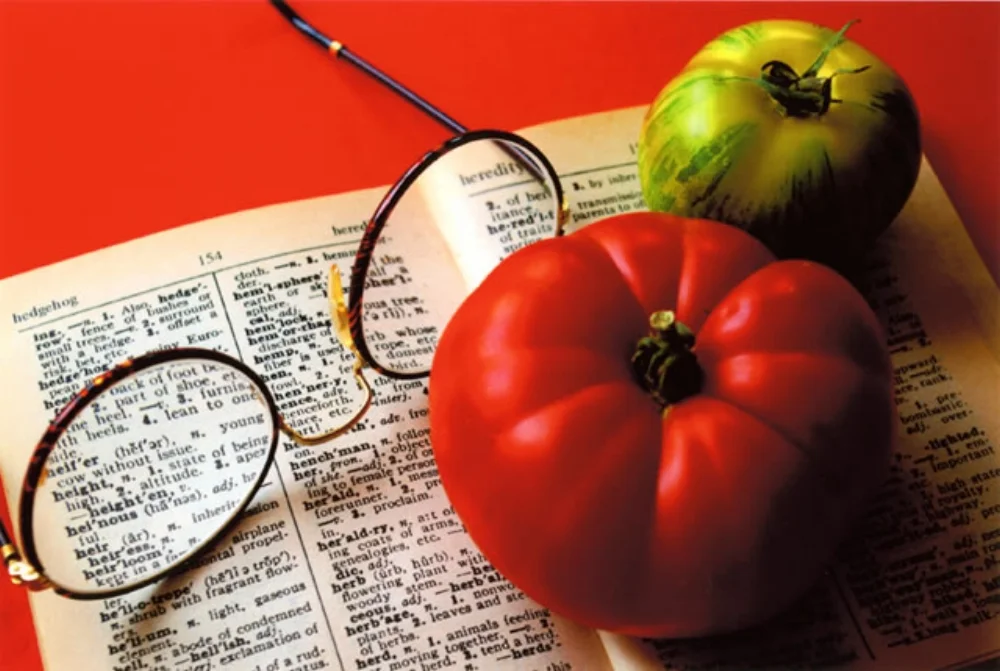 Synopsis: Aided by her grandmother Cordelia, 13 year old Spruce Britton must travel through time to find her best friend Lila who becomes lost after unwittingly eating one of Cordelia's enchanted, time travelling tomatoes.