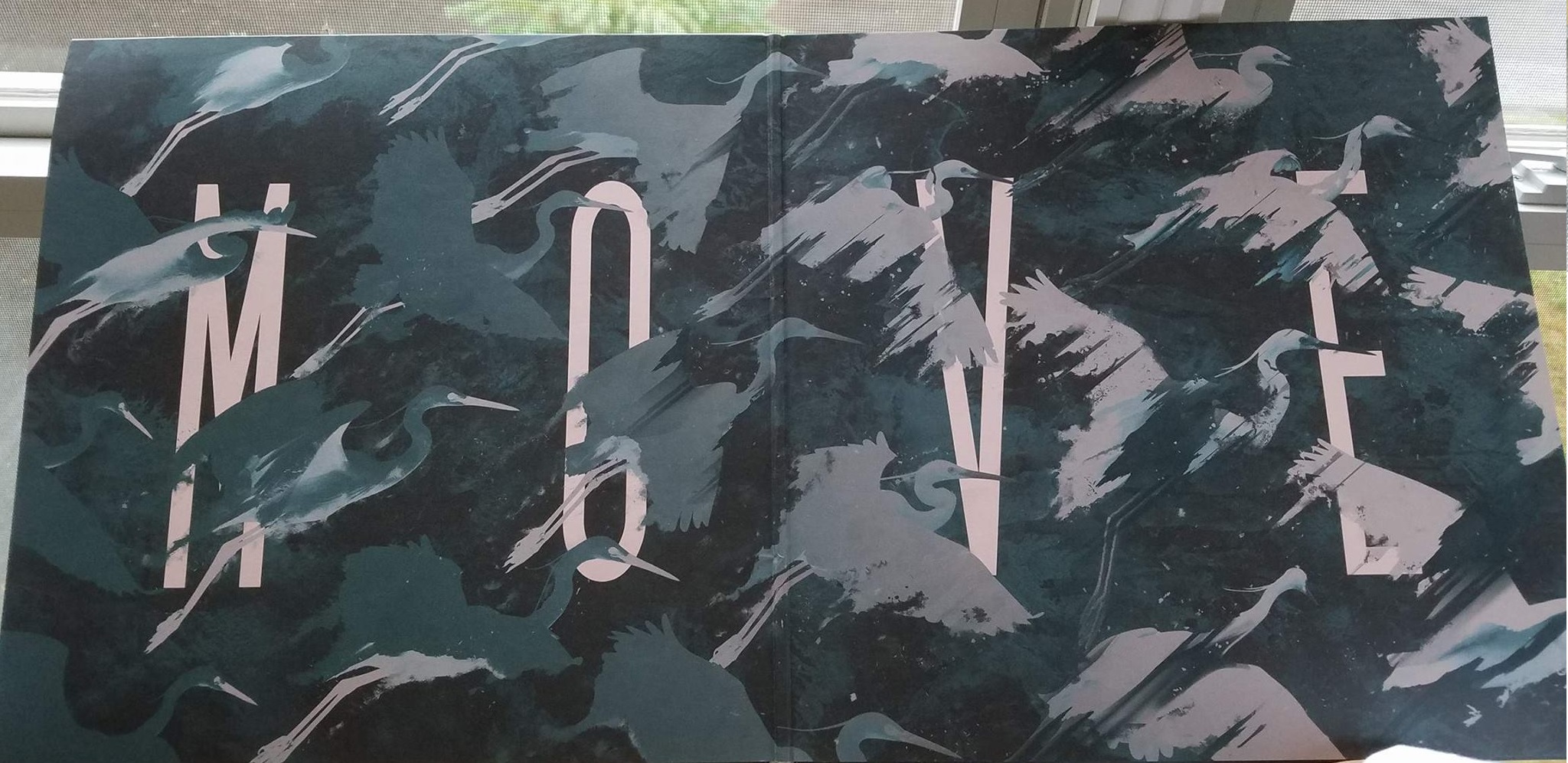 Record Sleeve for MOVE