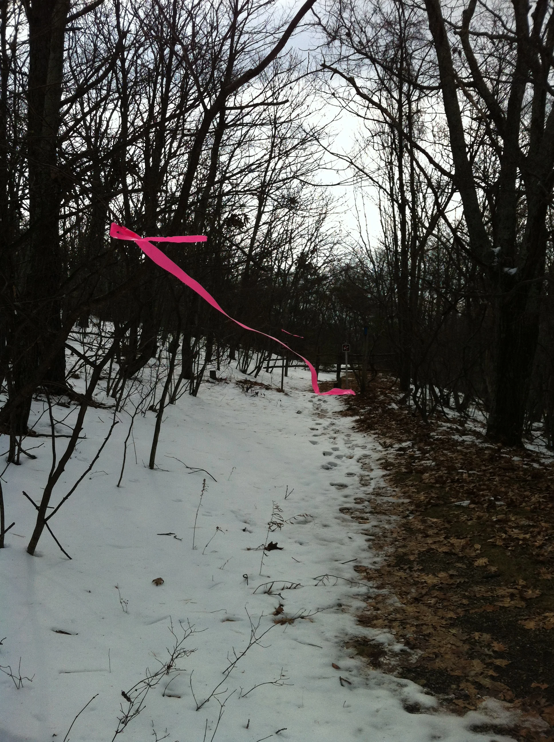 Start of the loop, mile 33.1, #mmtr50