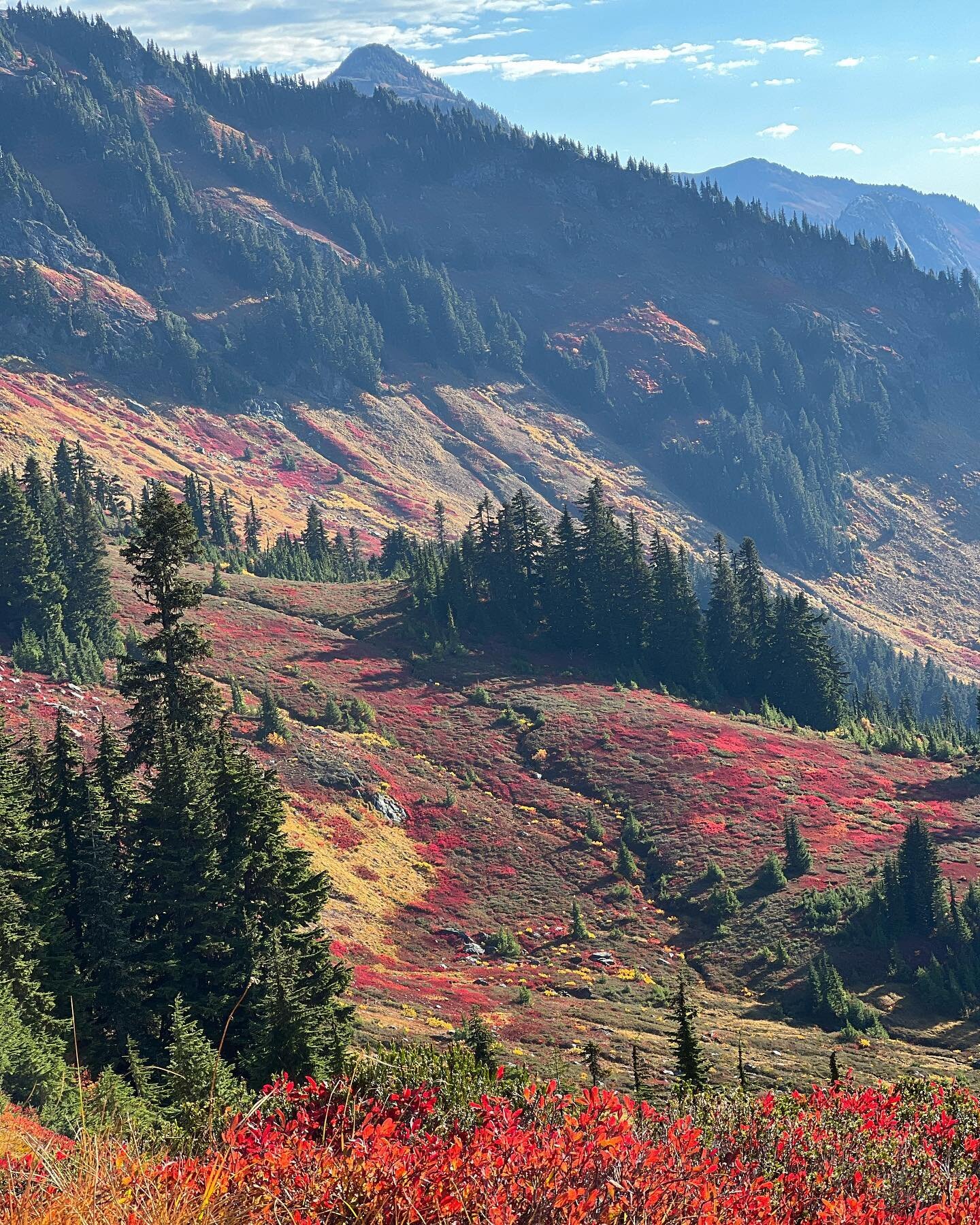 Go get to it while it&rsquo;s good!! Fall in the PNW is one of the best I&rsquo;ve ever seen. (Safe to say, I mean just these photos&hellip;!!!) Multiple times on this nearly 10 mile run various expressions of gratitude, awe &amp; giddiness filled th