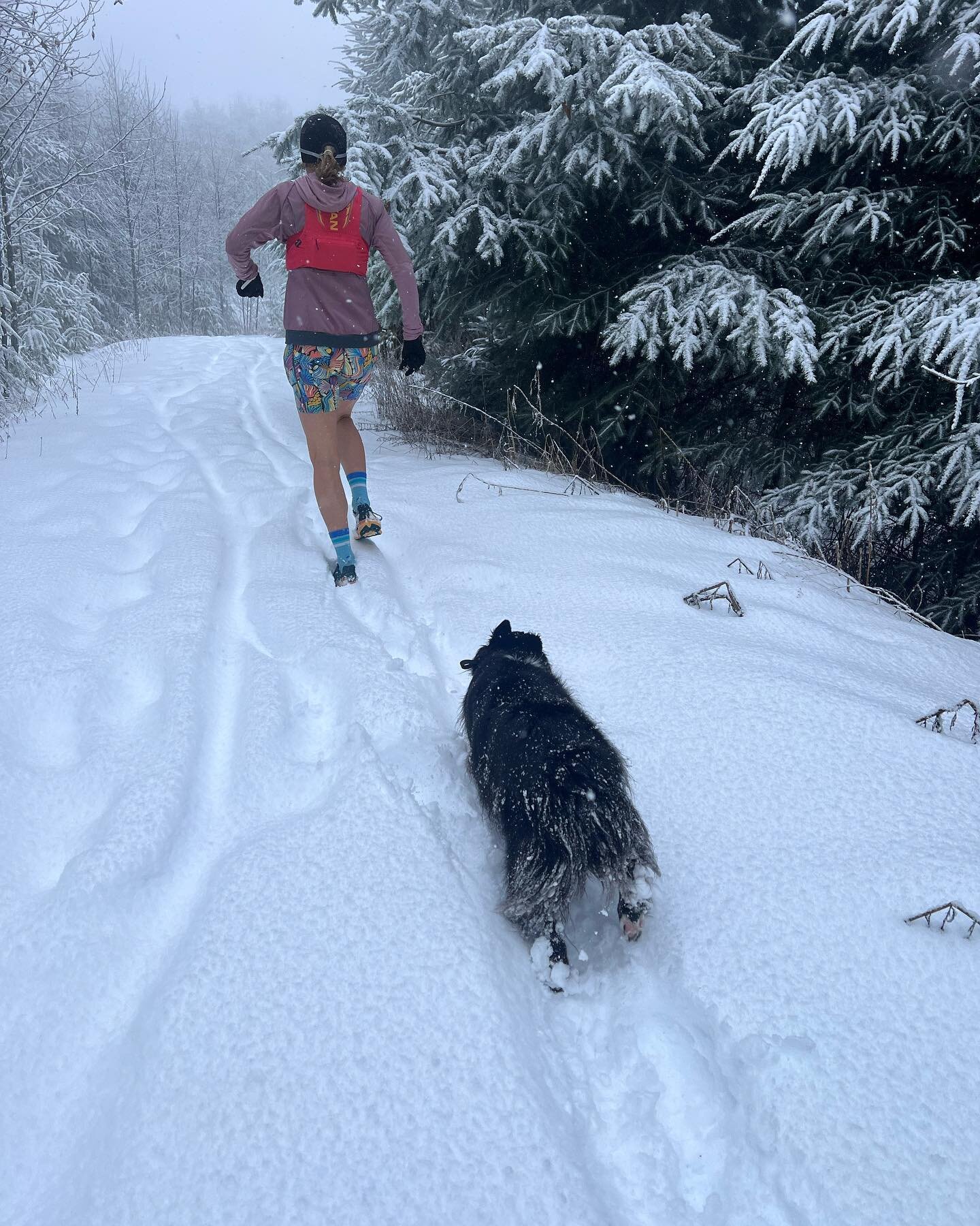 Big difference in conditions compared to the Flatlanders Canyon Crush last weekend (☀️&amp; 80!). This is topping out on Burnout Rd so not far from South Lost Lake Trail (aka @chuckanut50 course). We are 2 weeks out from race day!! What will conditio