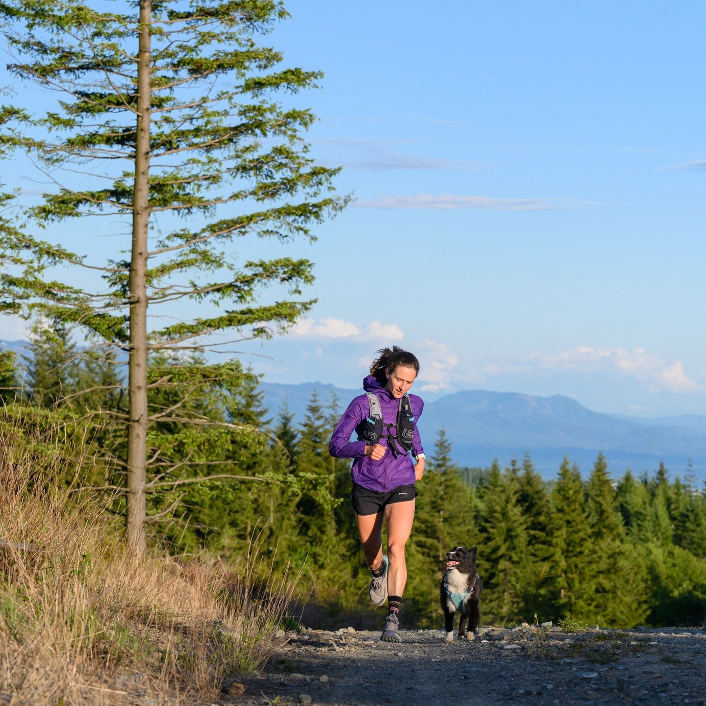 Bellingham peops! I've teamed up with the Mountaineers to share thoughts on the Aging Athlete. I'd love your presence and conversation about the experience of moving through decades doing what you love - even if demanding of our bodies.

May 14. 7pm.
