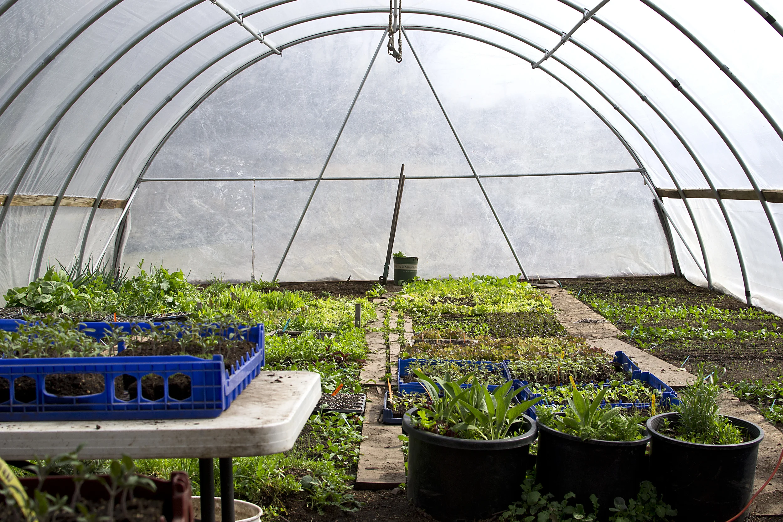 Greenhouse go time
