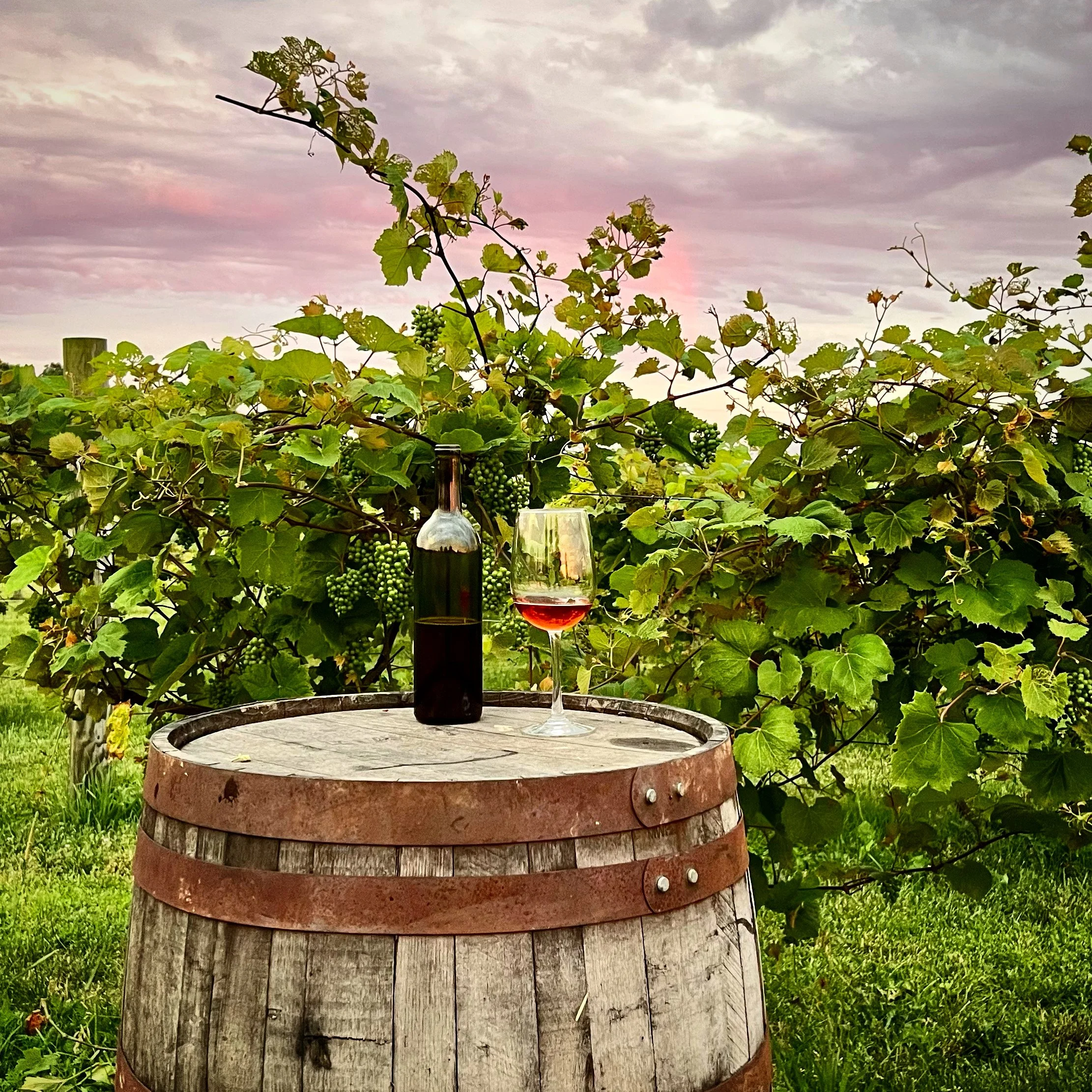 8/21/25 (Thur) Farm Dinner  