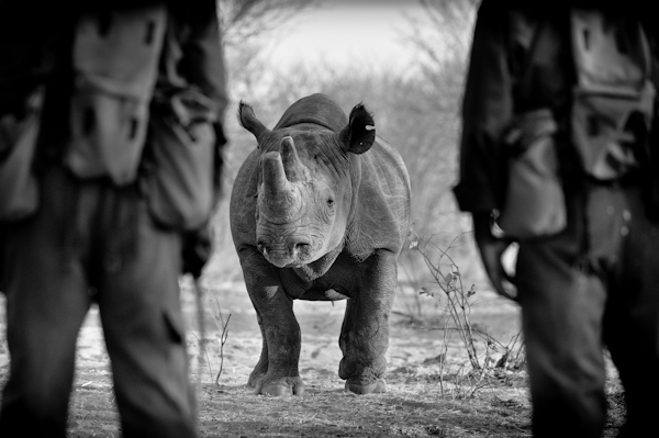 2013 Zimbabwe-014050.jpg