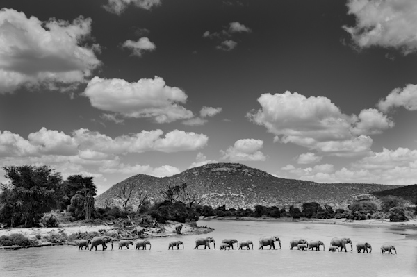 2014 Kenya-019458.jpg