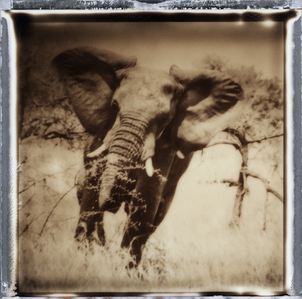 Scan-762.jpg