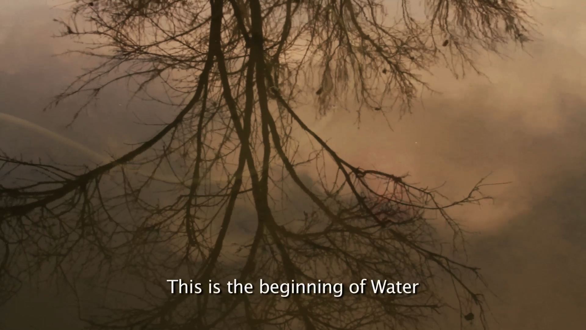 In the Beginning - still 1.jpg