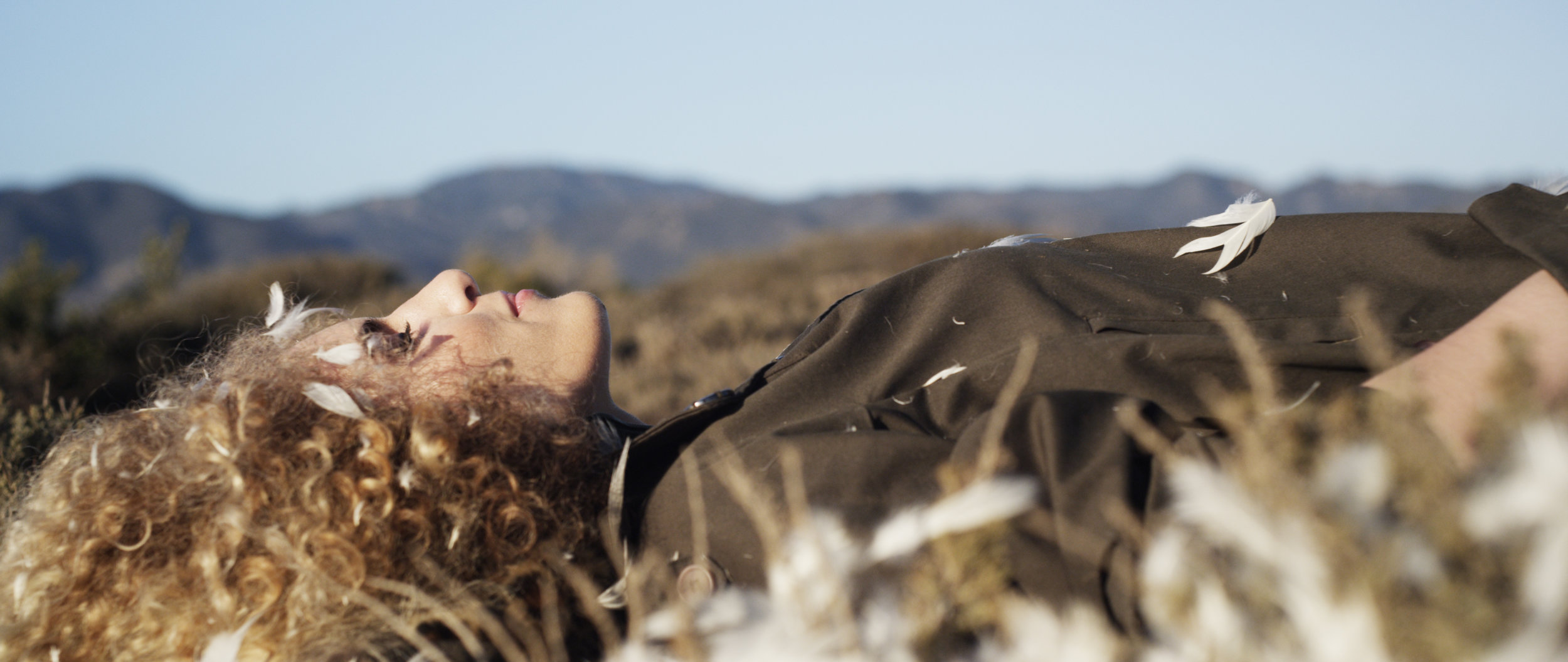 Still image from 'We've Got Wings' Music Video Directed by Roxana Vilk