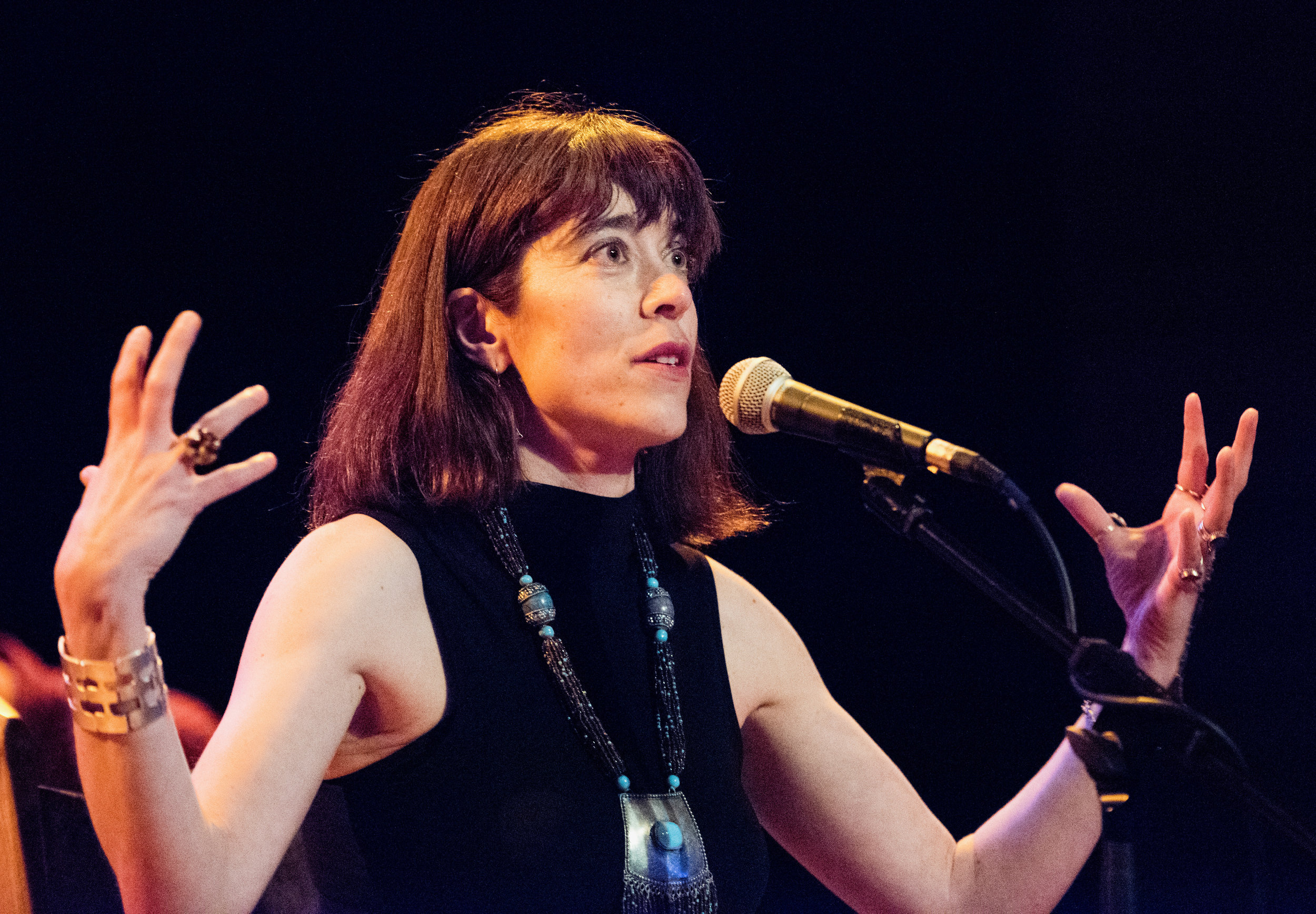 ROXANA VILK performing live at TRADFEST