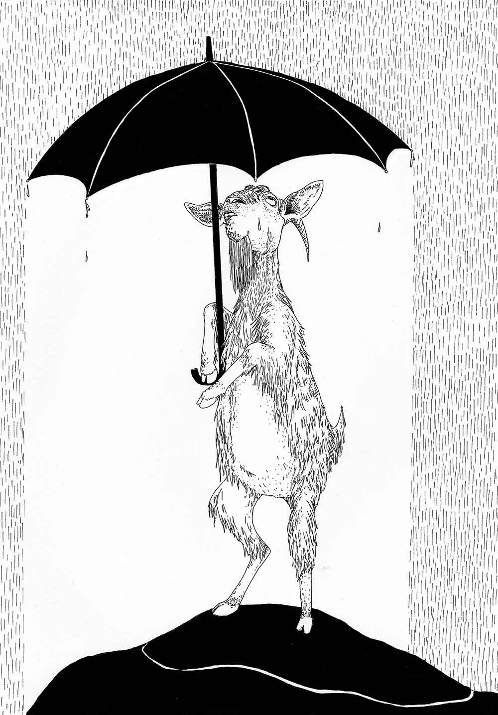 Goat.jpg