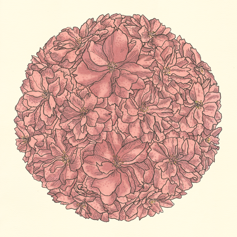 Completed Drawing