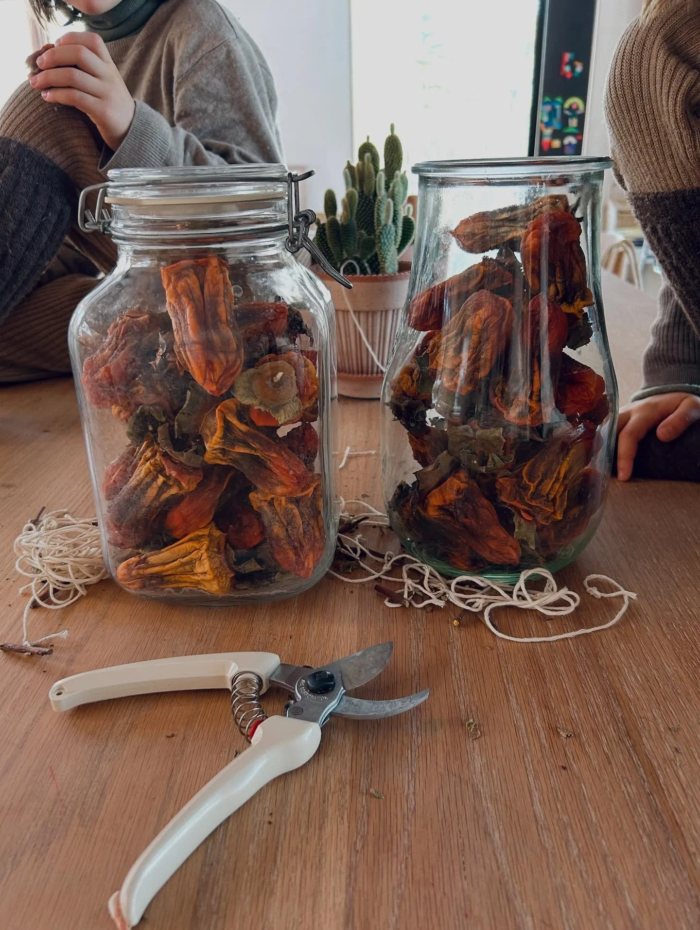 The persimmons are ready and they are sooooo delicious #hoshigaki