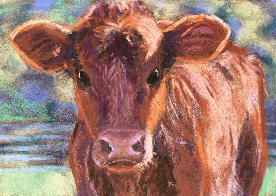 "Calf Study"