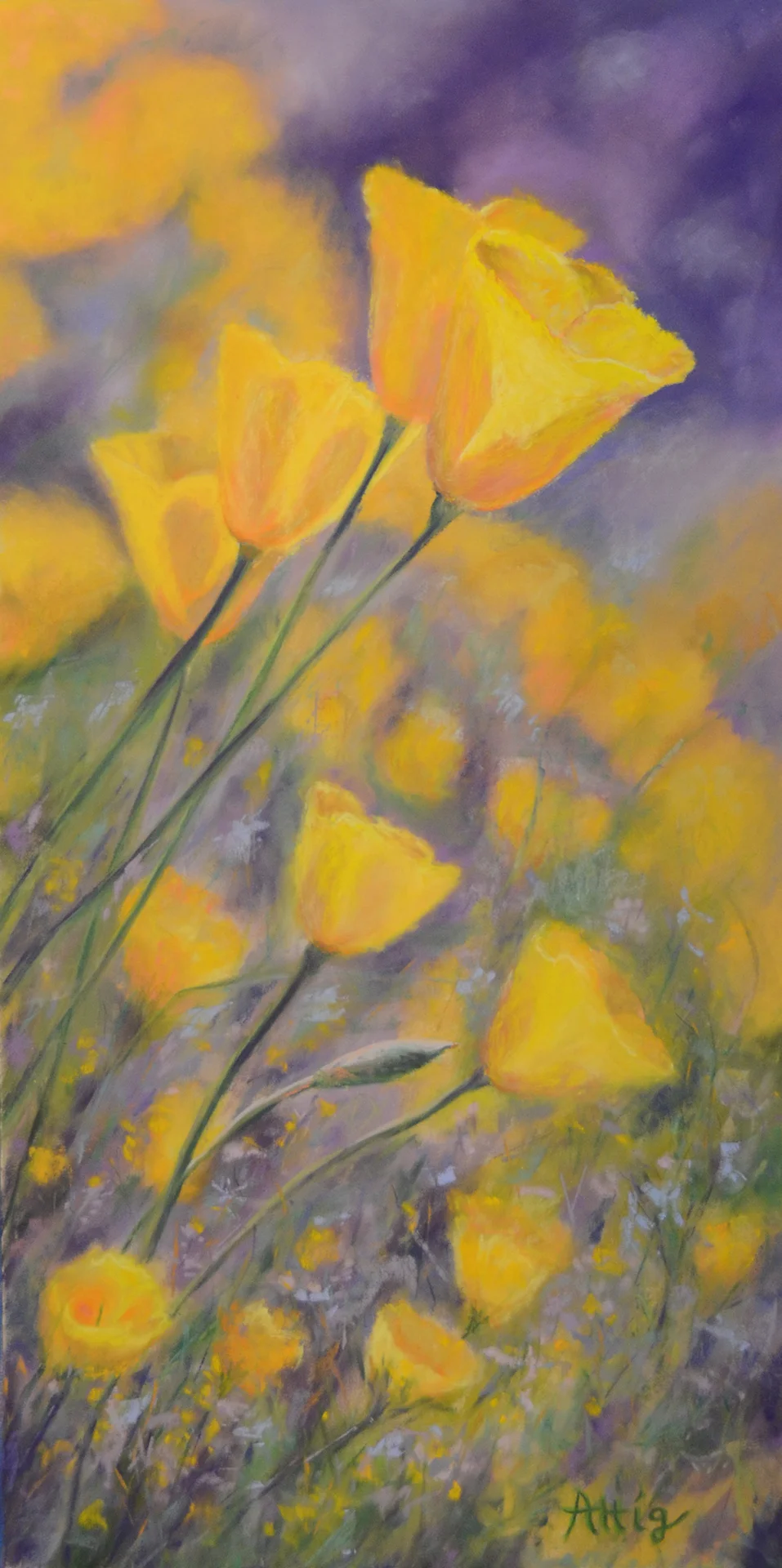 Poppies on a Hillside